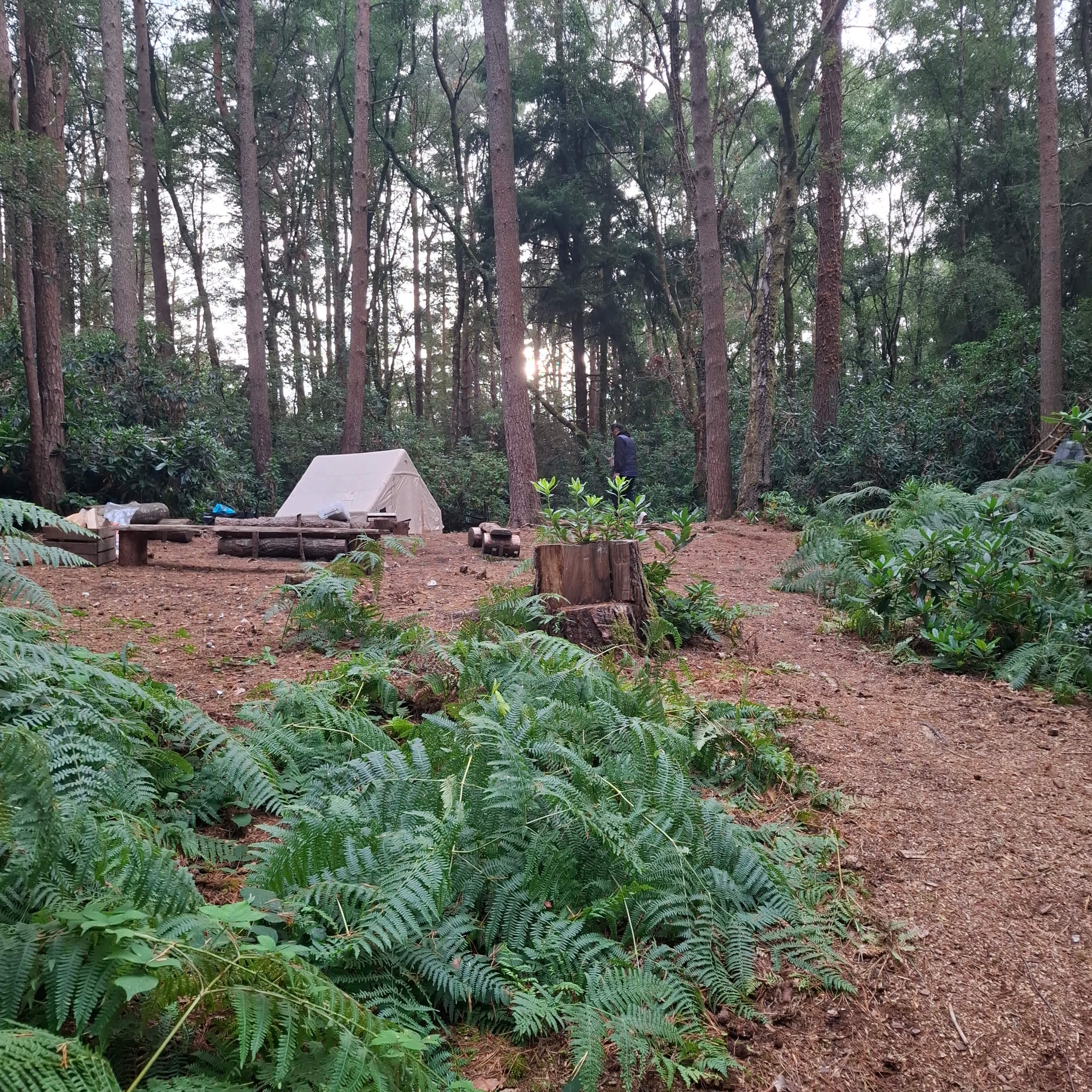 Picture of the site