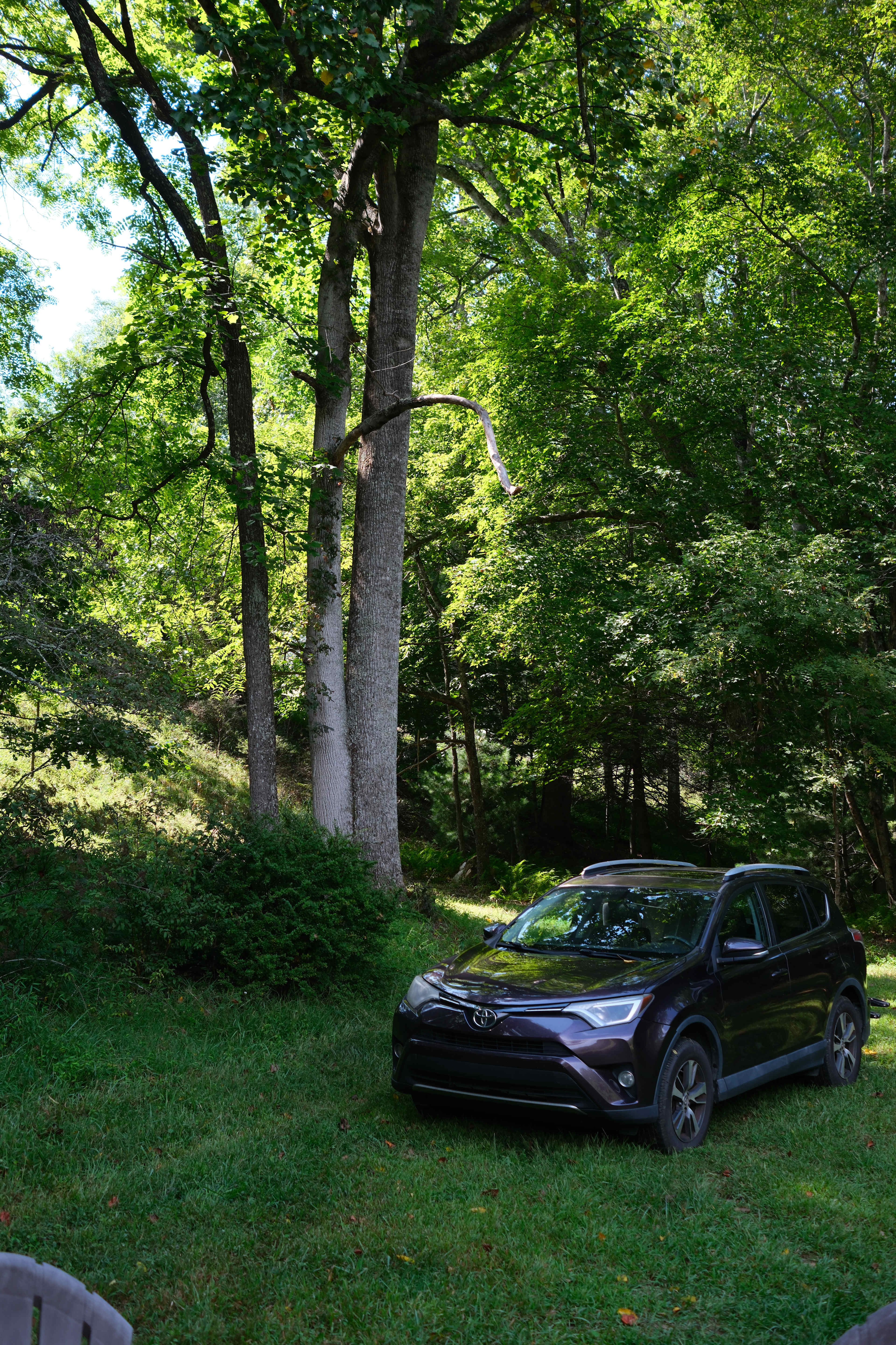 Blue Ridge Camping Covington Forest