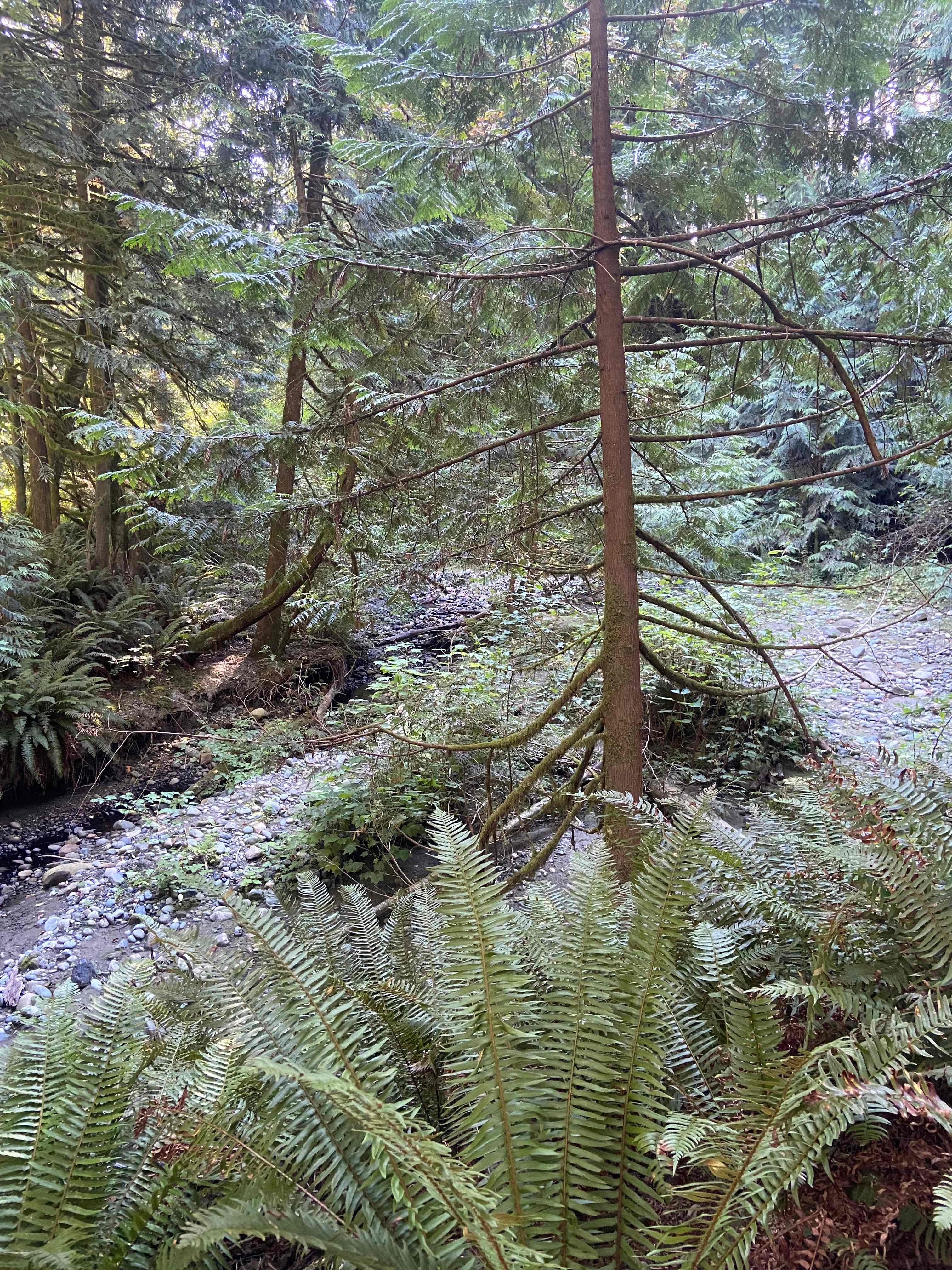 On the trails! 