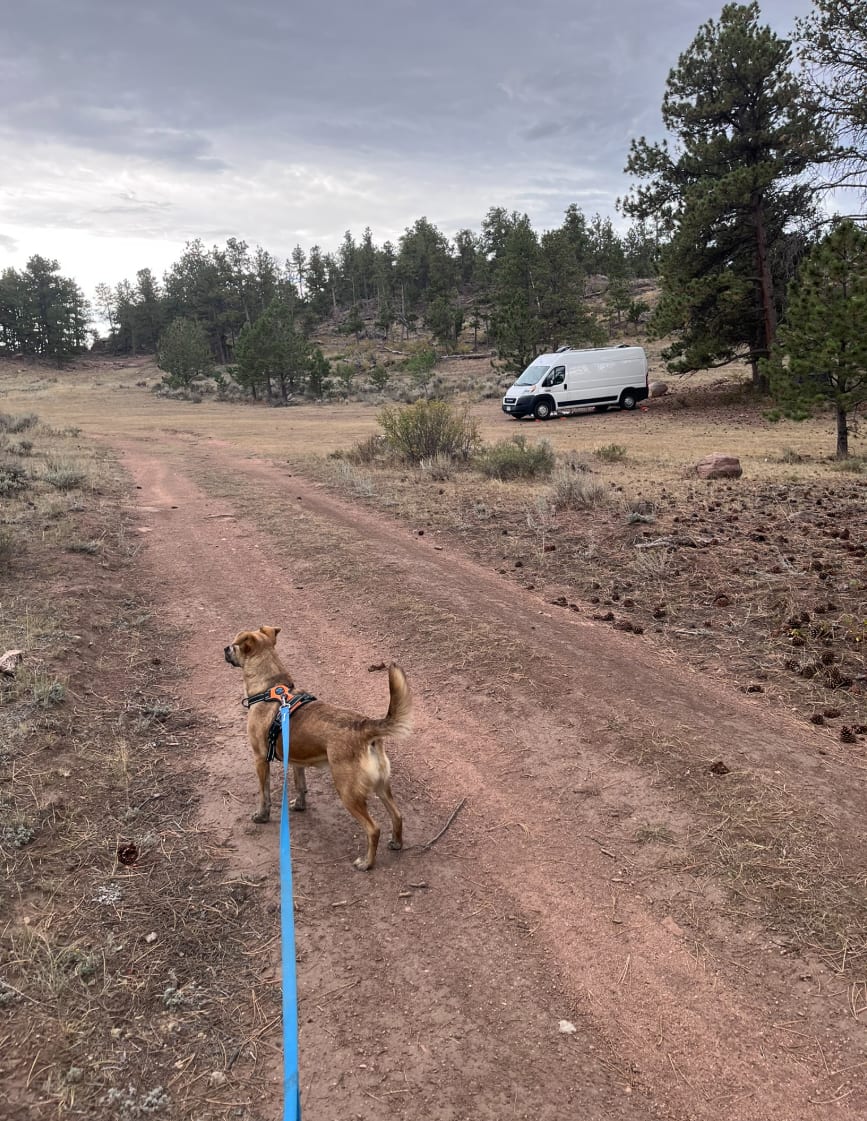 Logan Ranch Campground