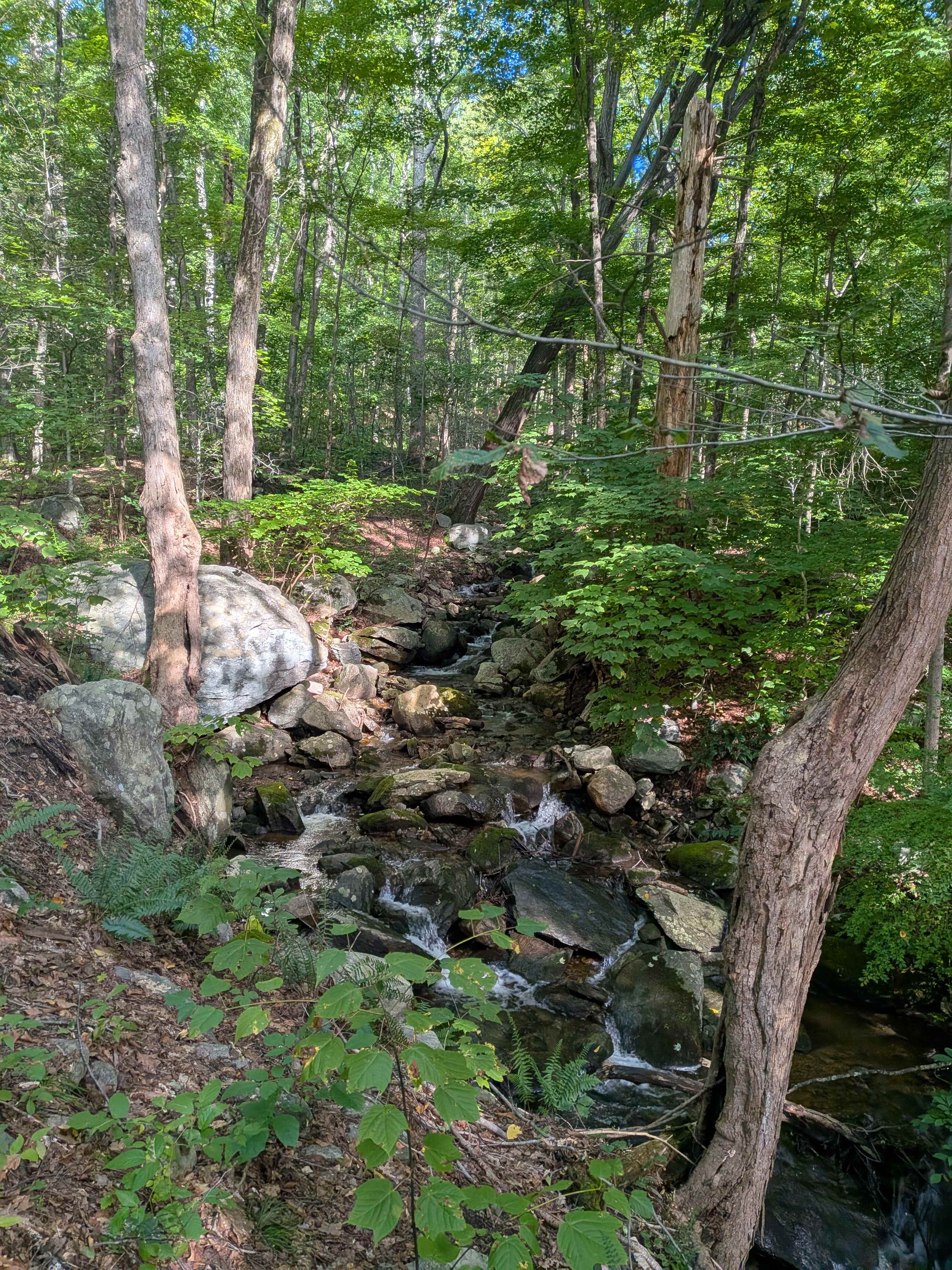 Hunterbrook Mountain