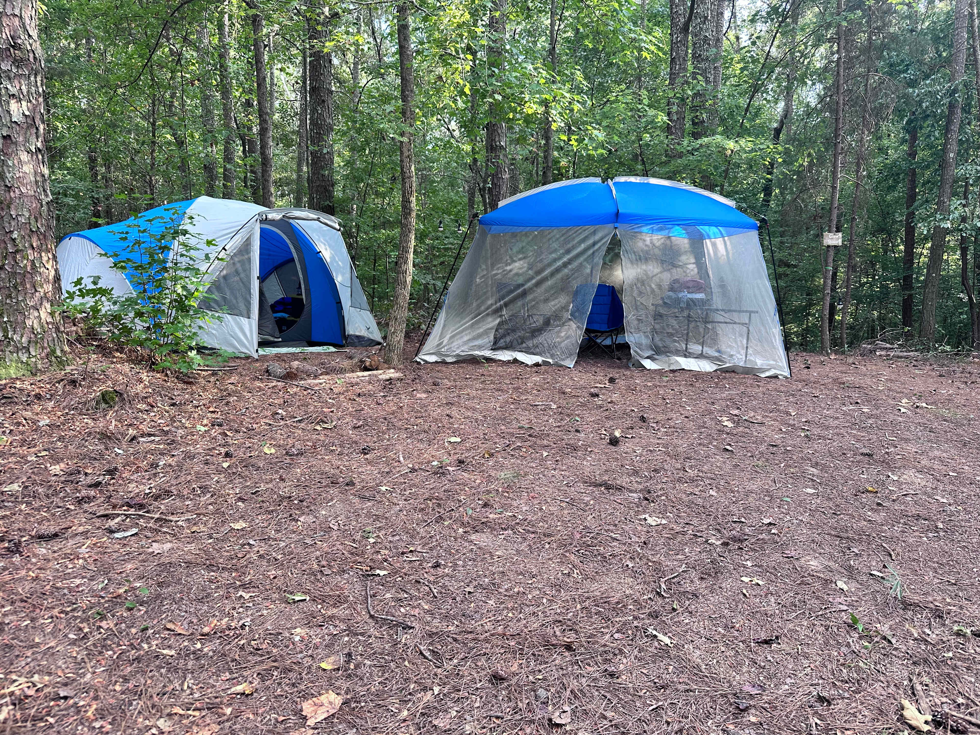 Campingallstars