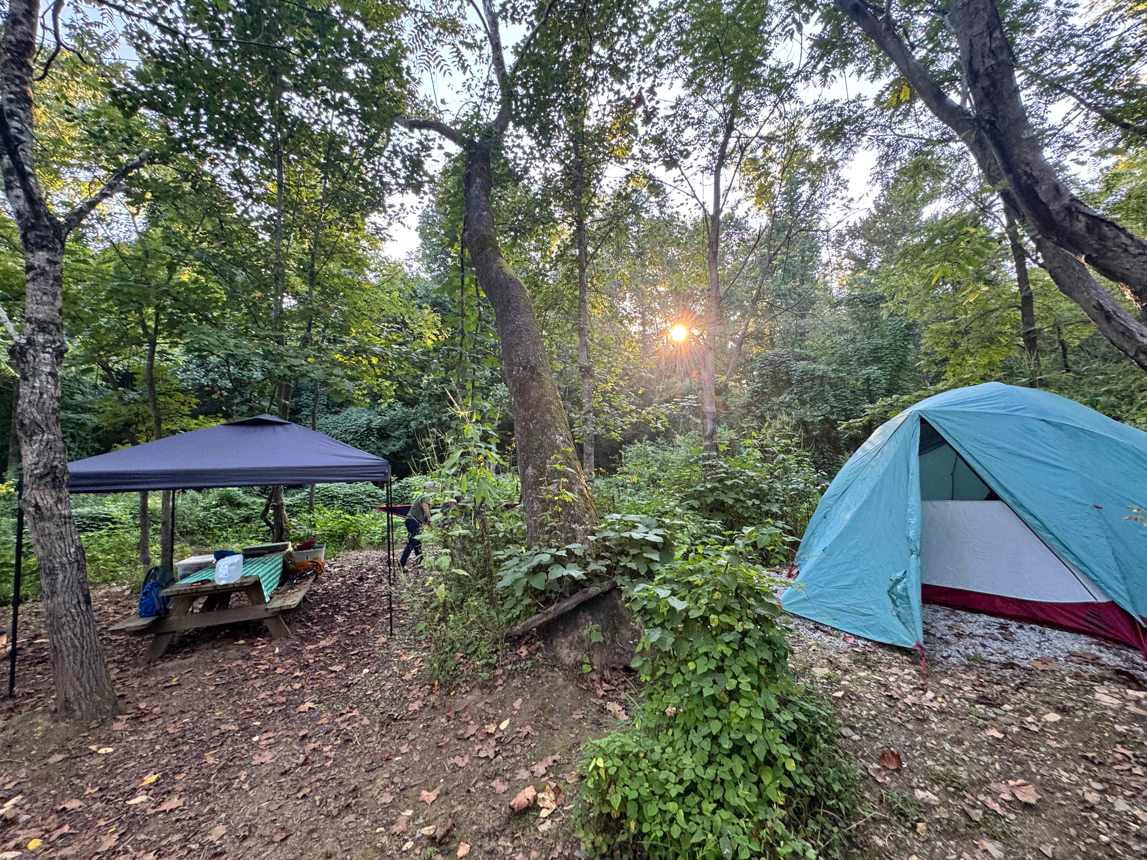 TangleWood Creekside Campsites
