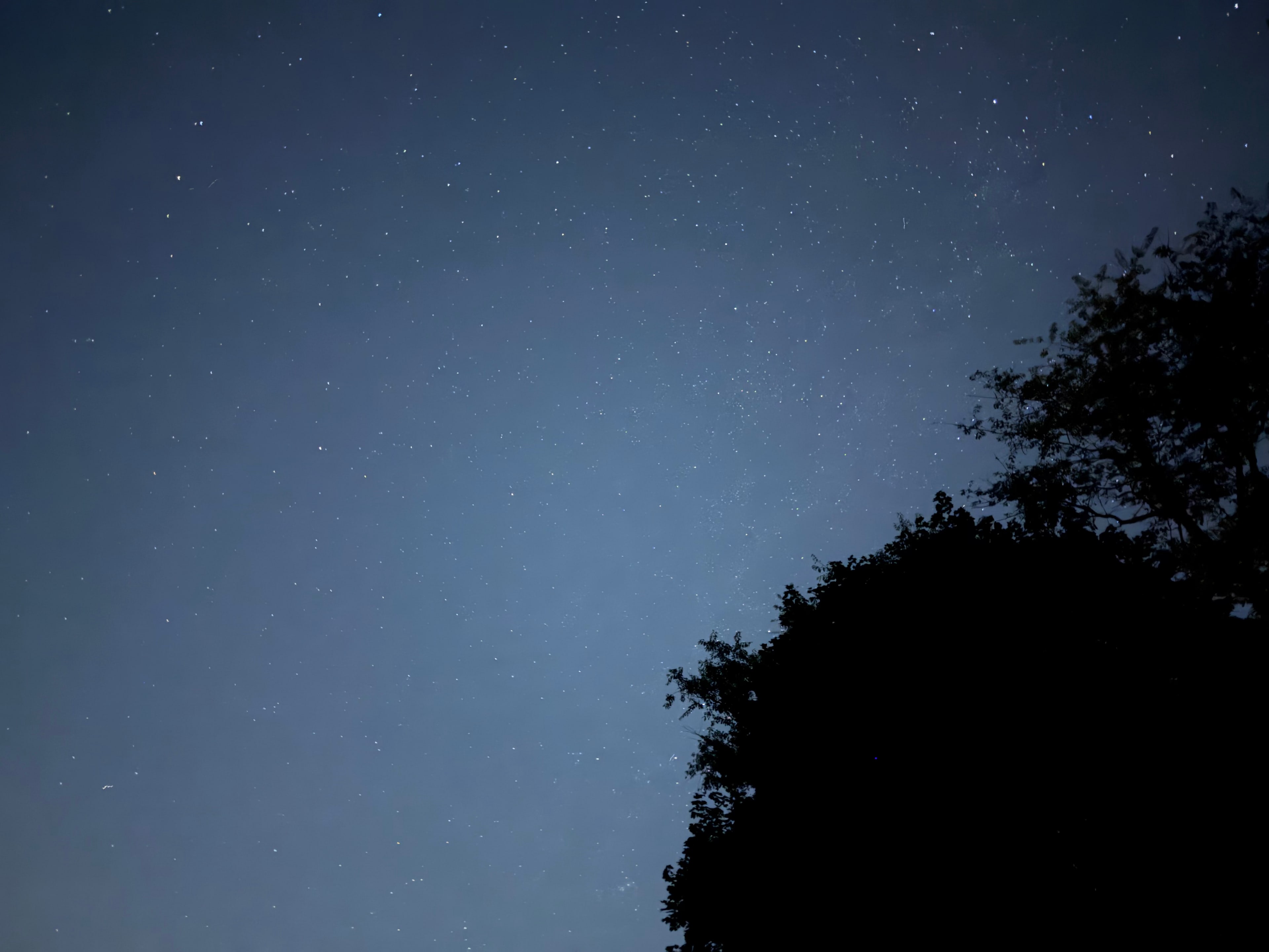 Breathtaking night sky