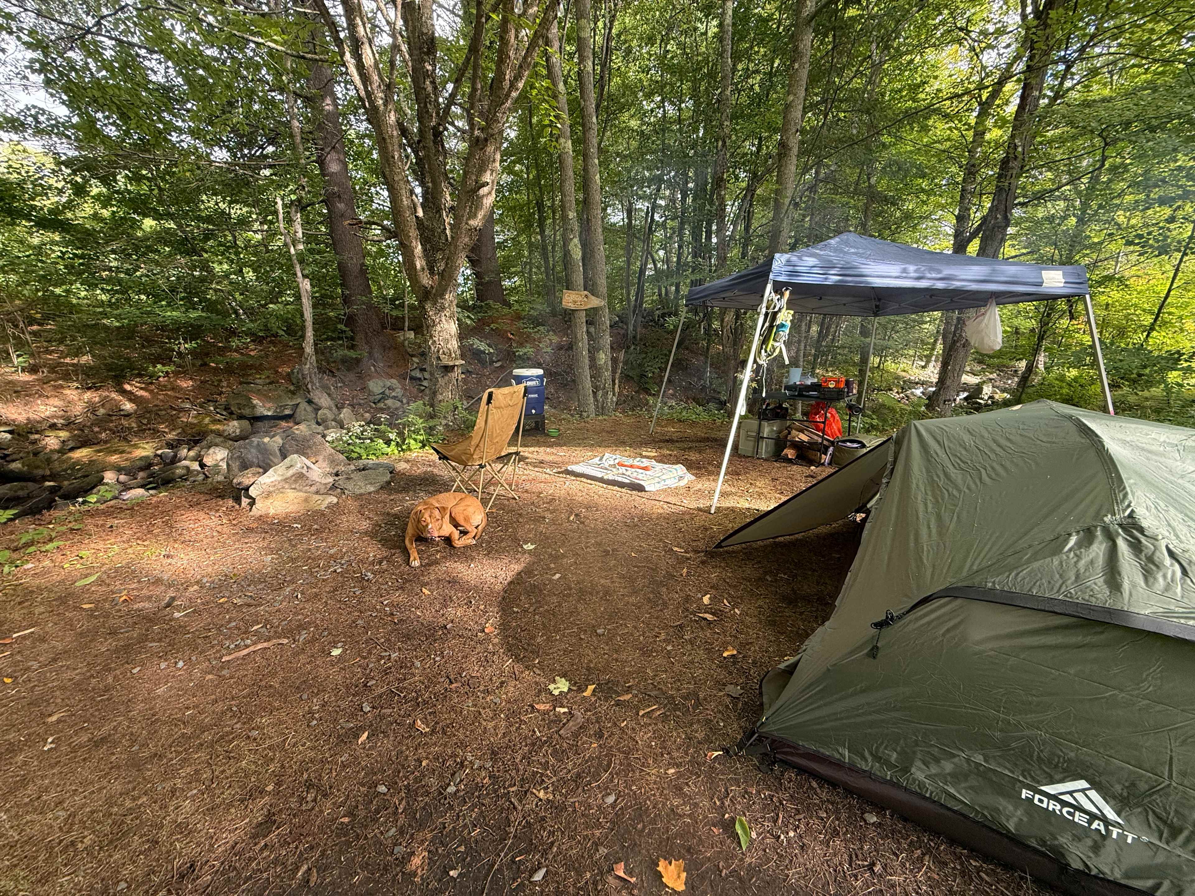 Camp Ebb and Flow