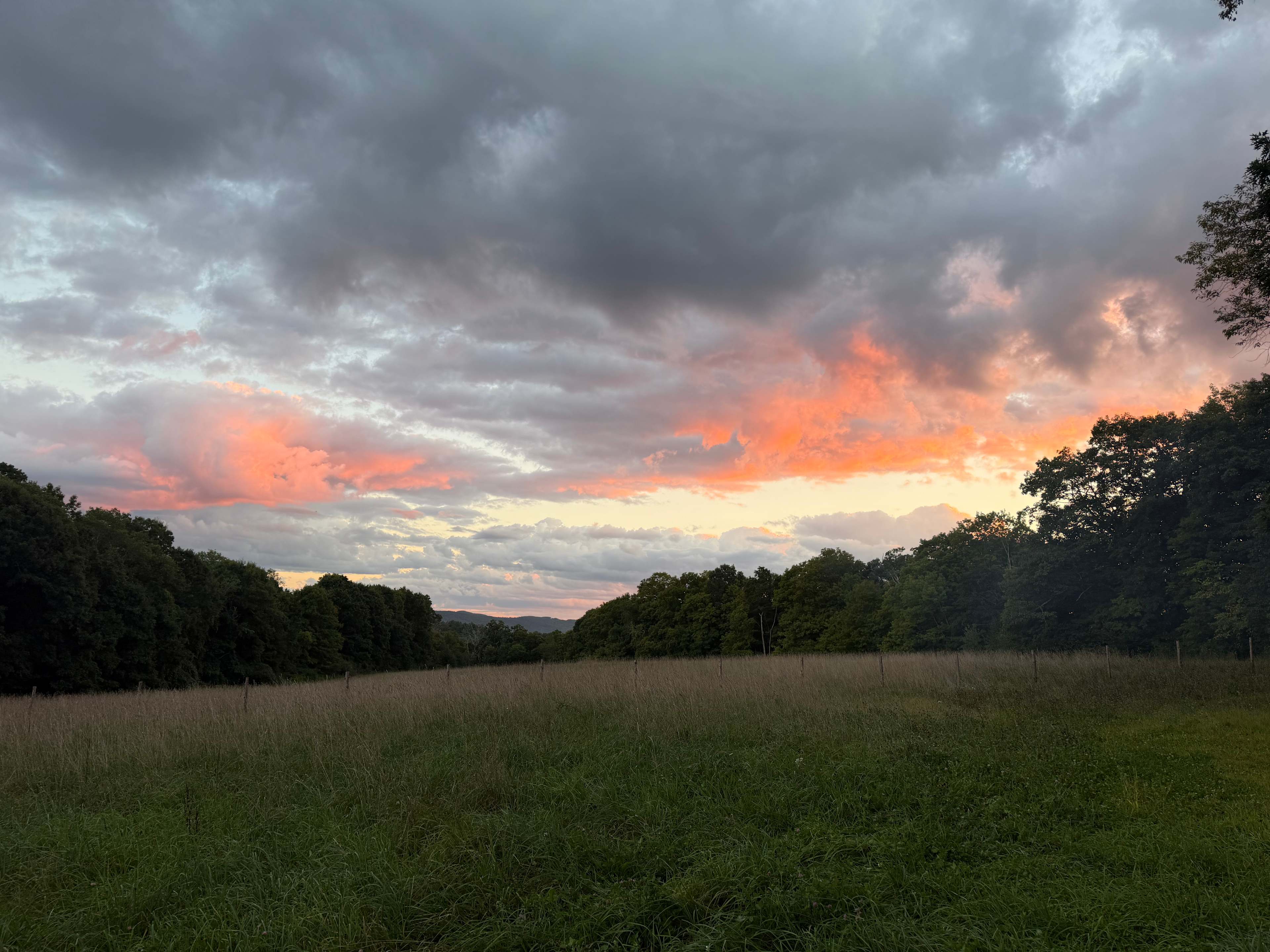 Goodfield Farm Rustic Camping
