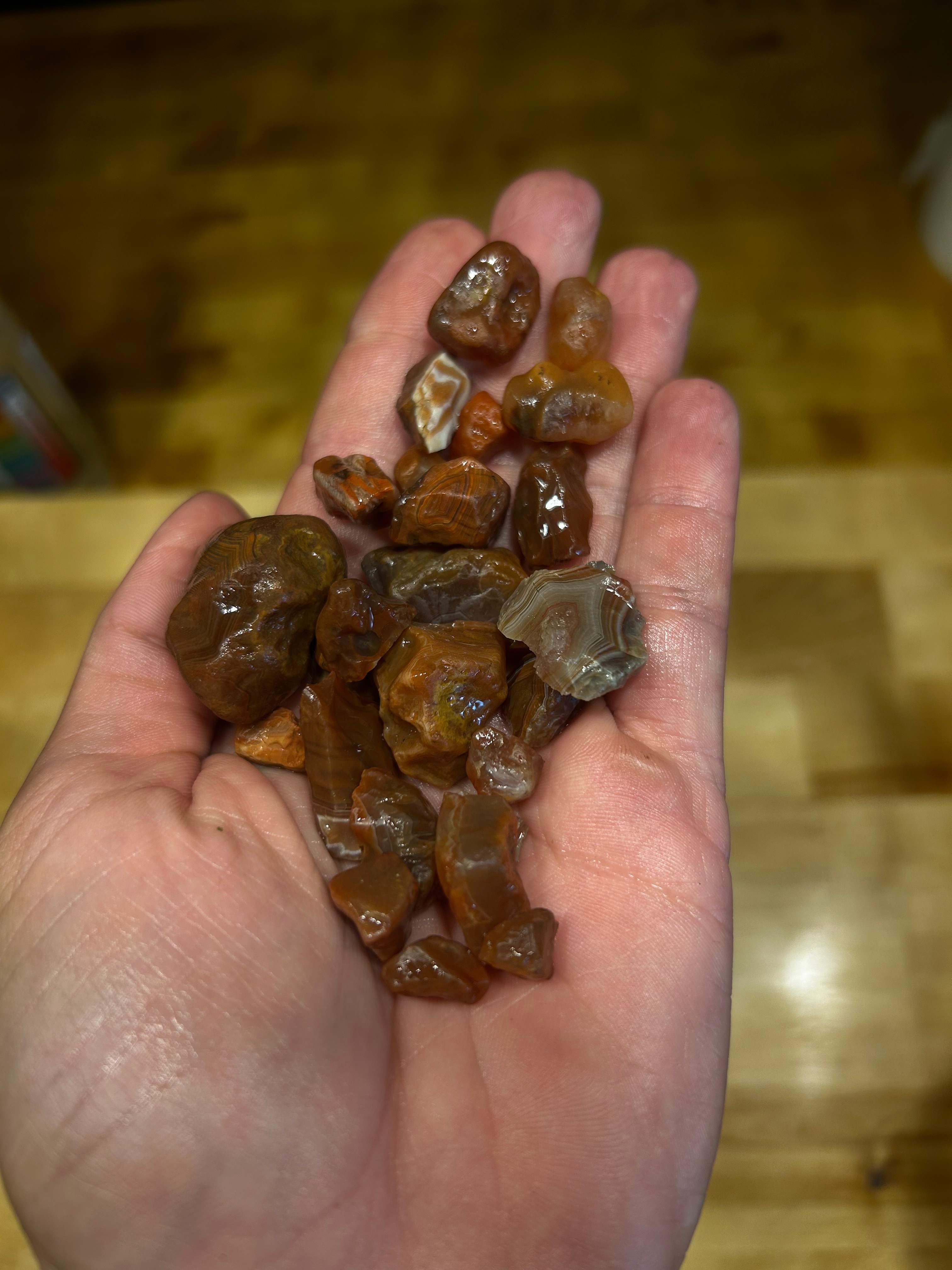 Found on the gravel road