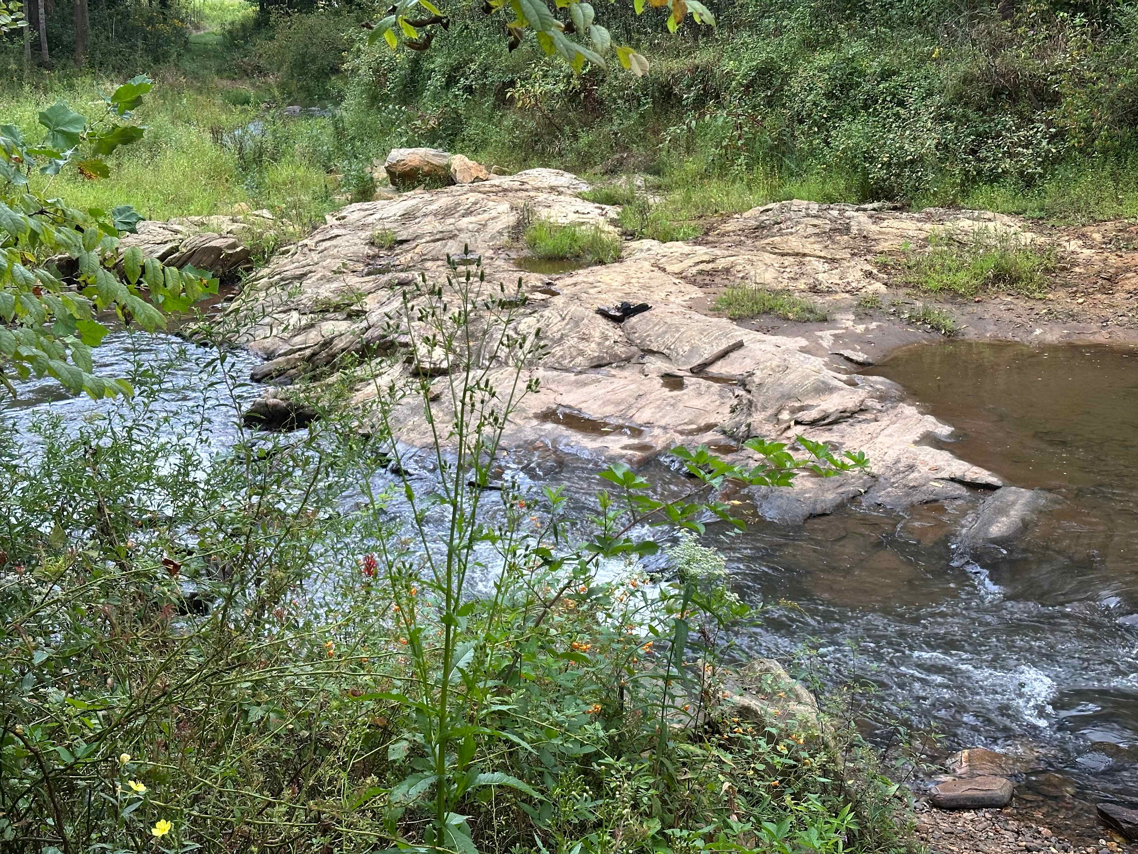 Ruby Ranch