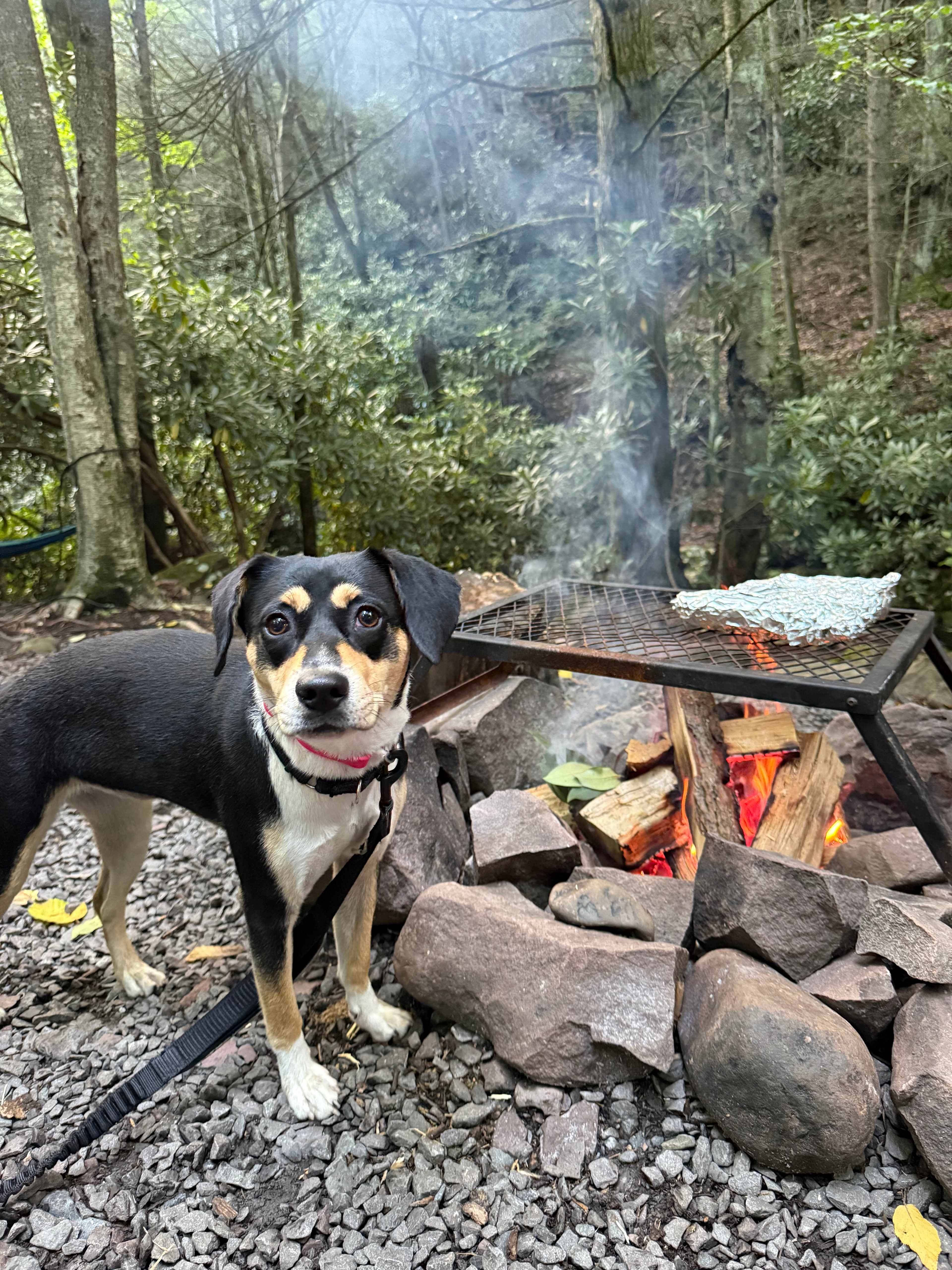 Camp Dietrich on Bear Creek