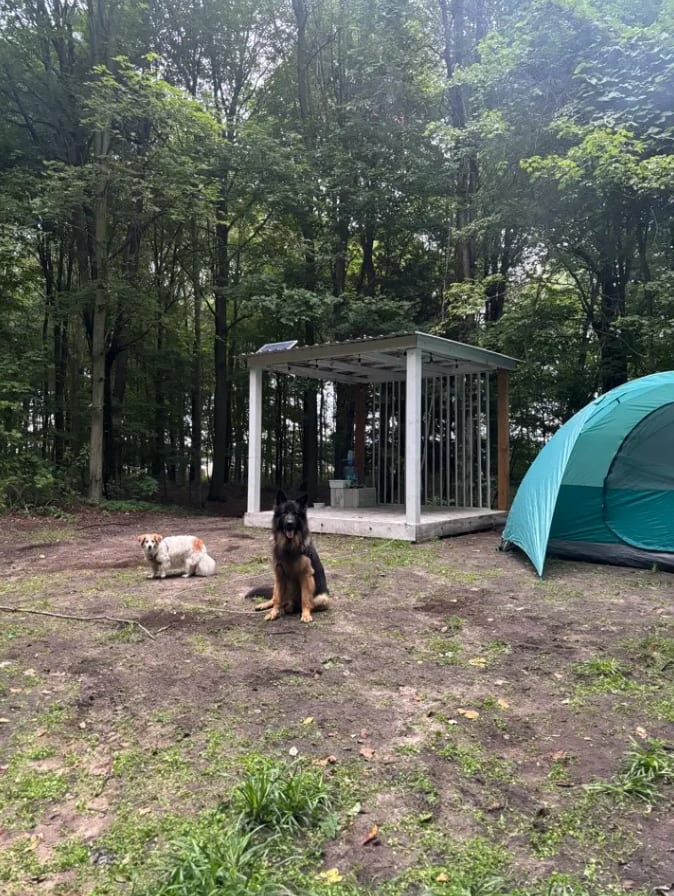 Picture of the site