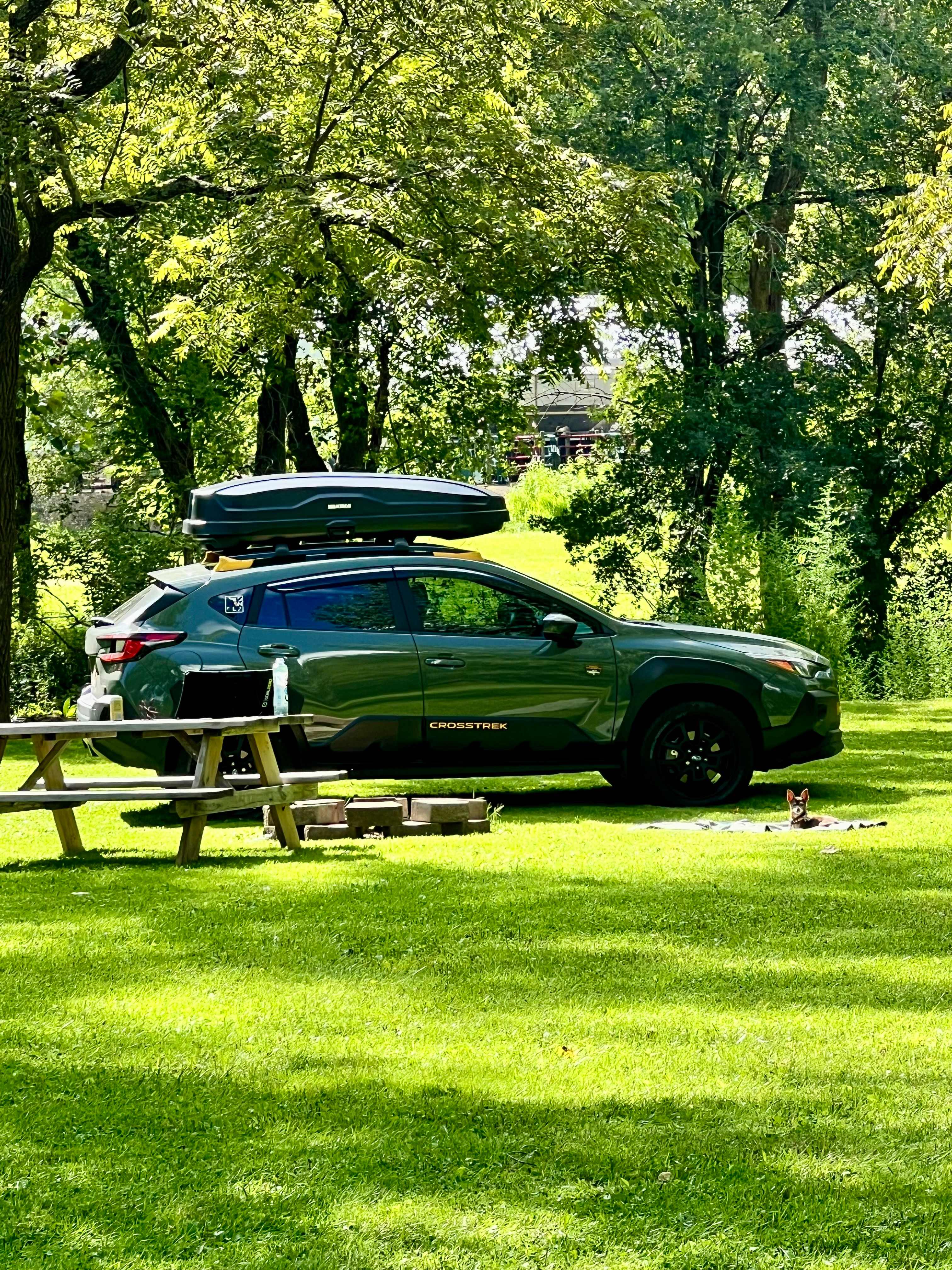 Lot Down At The River