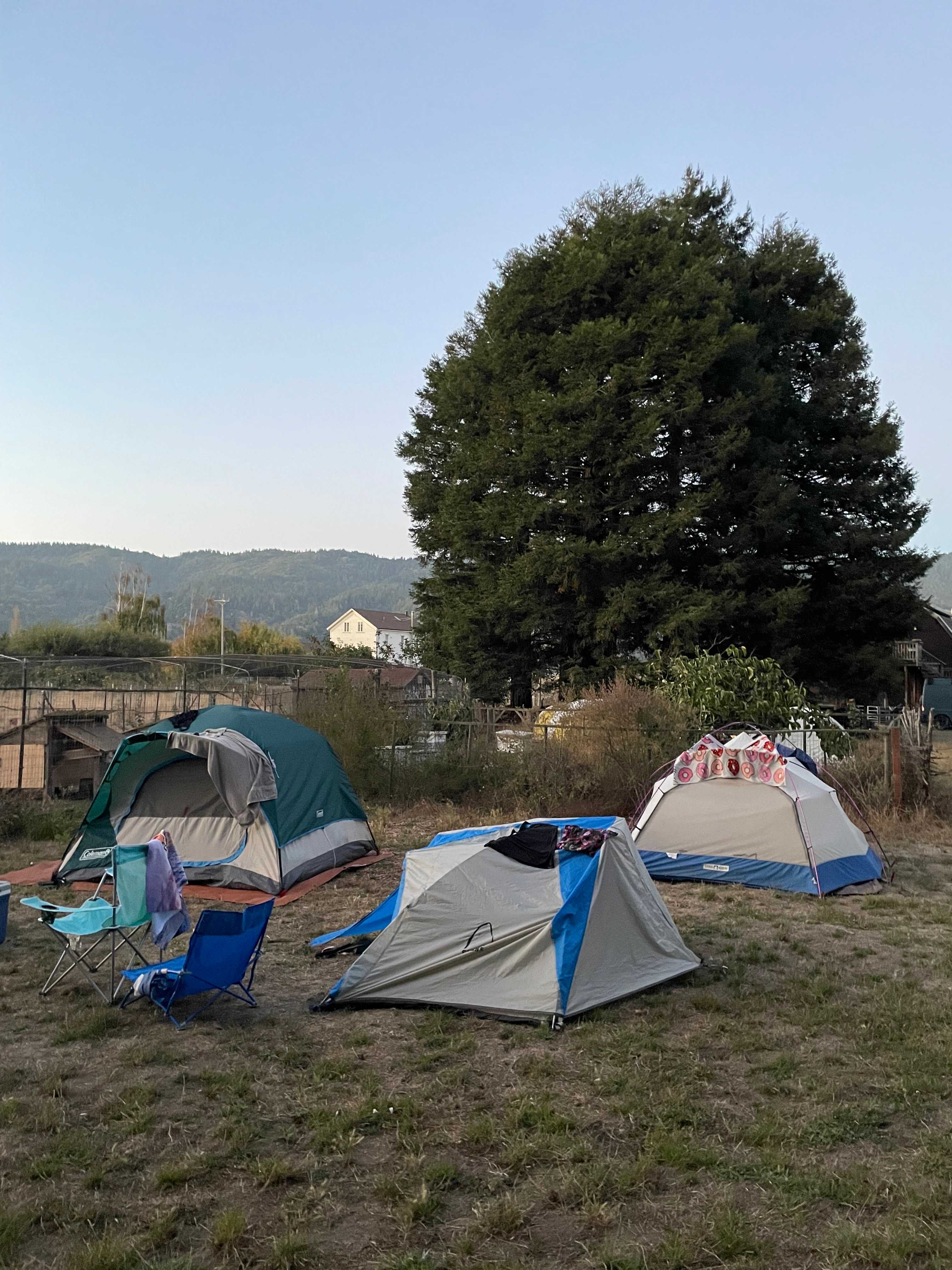 Meadow camping in Bolinas