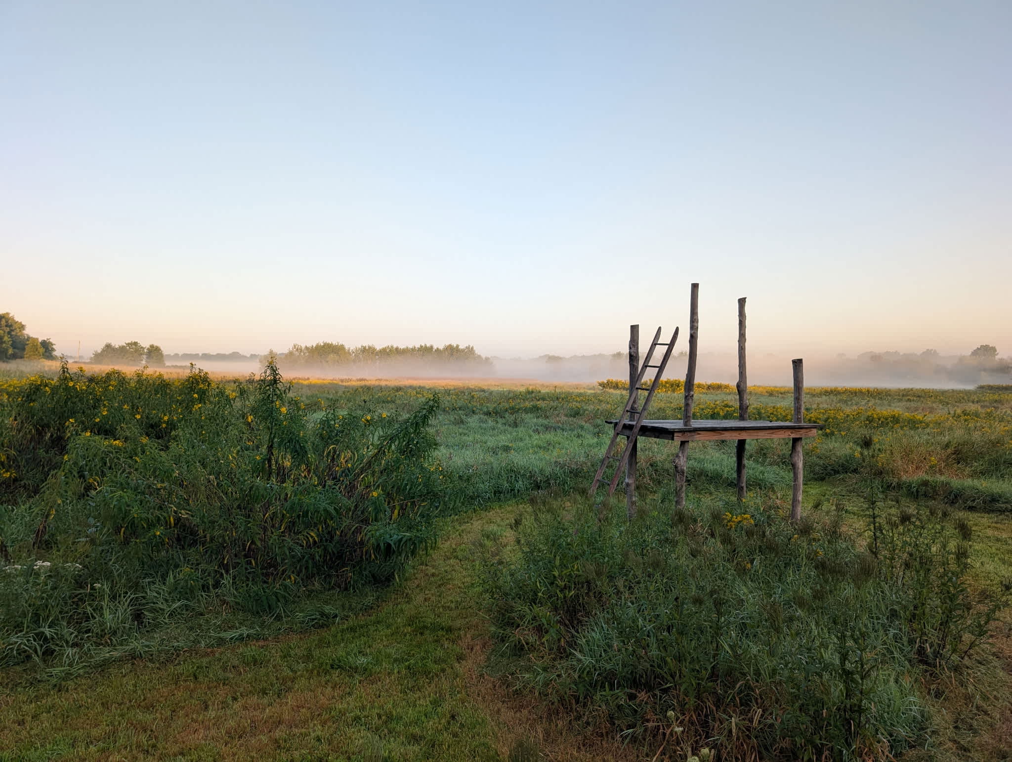 Pachamanka Prairie + Woodland