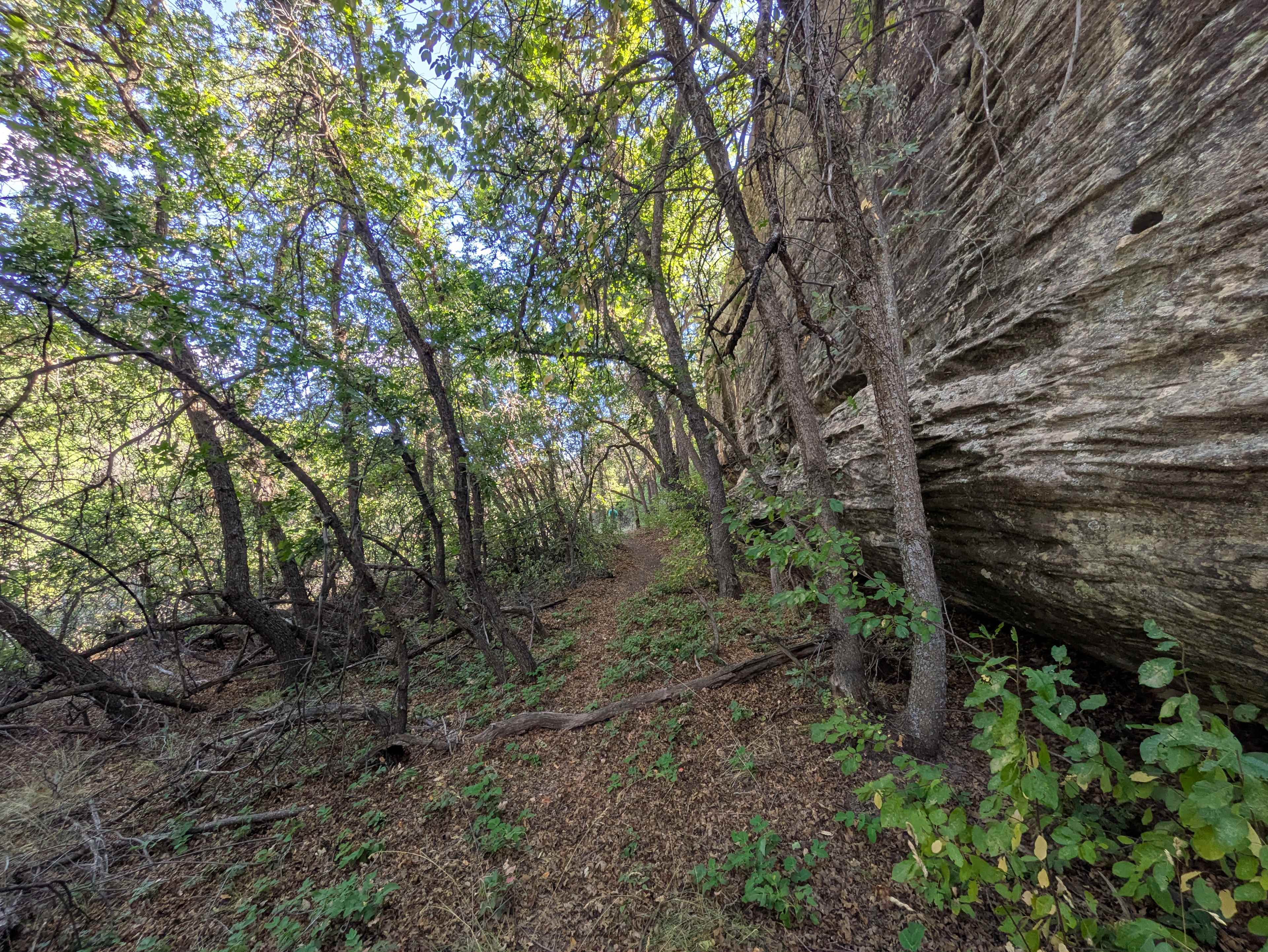 Trail view