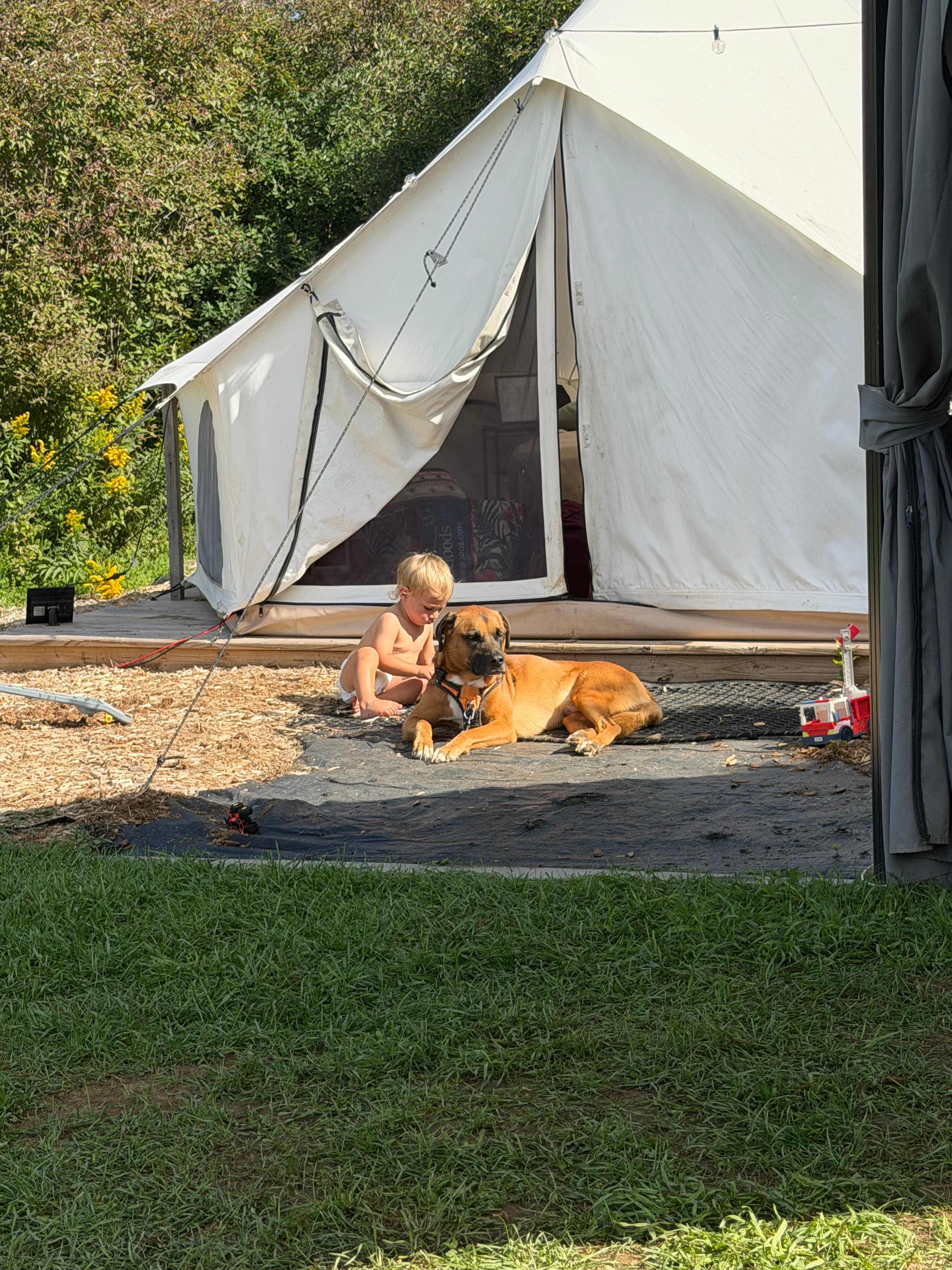 Glamping in Perry Near Letchworth