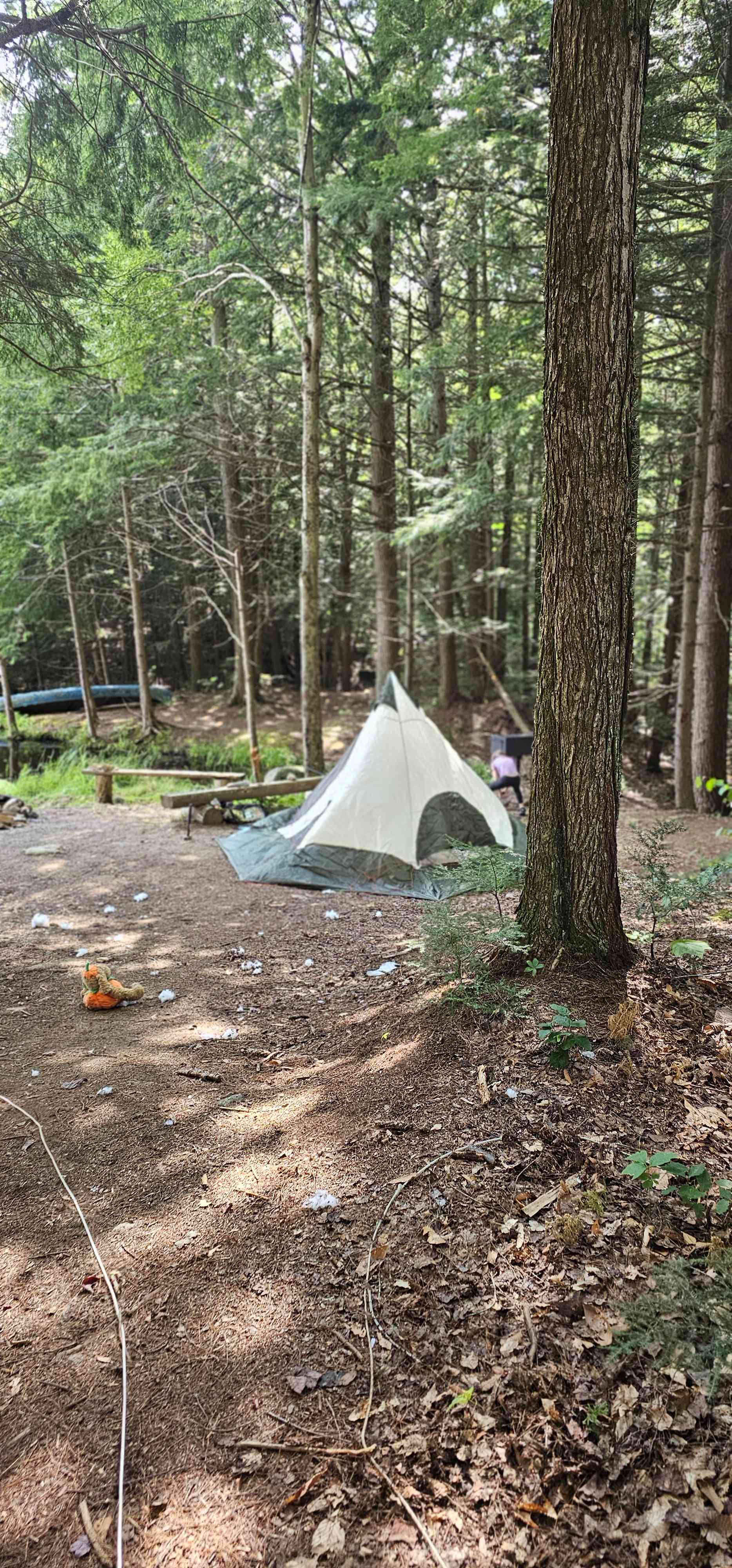 Tripp Mine Gemstones & Camping