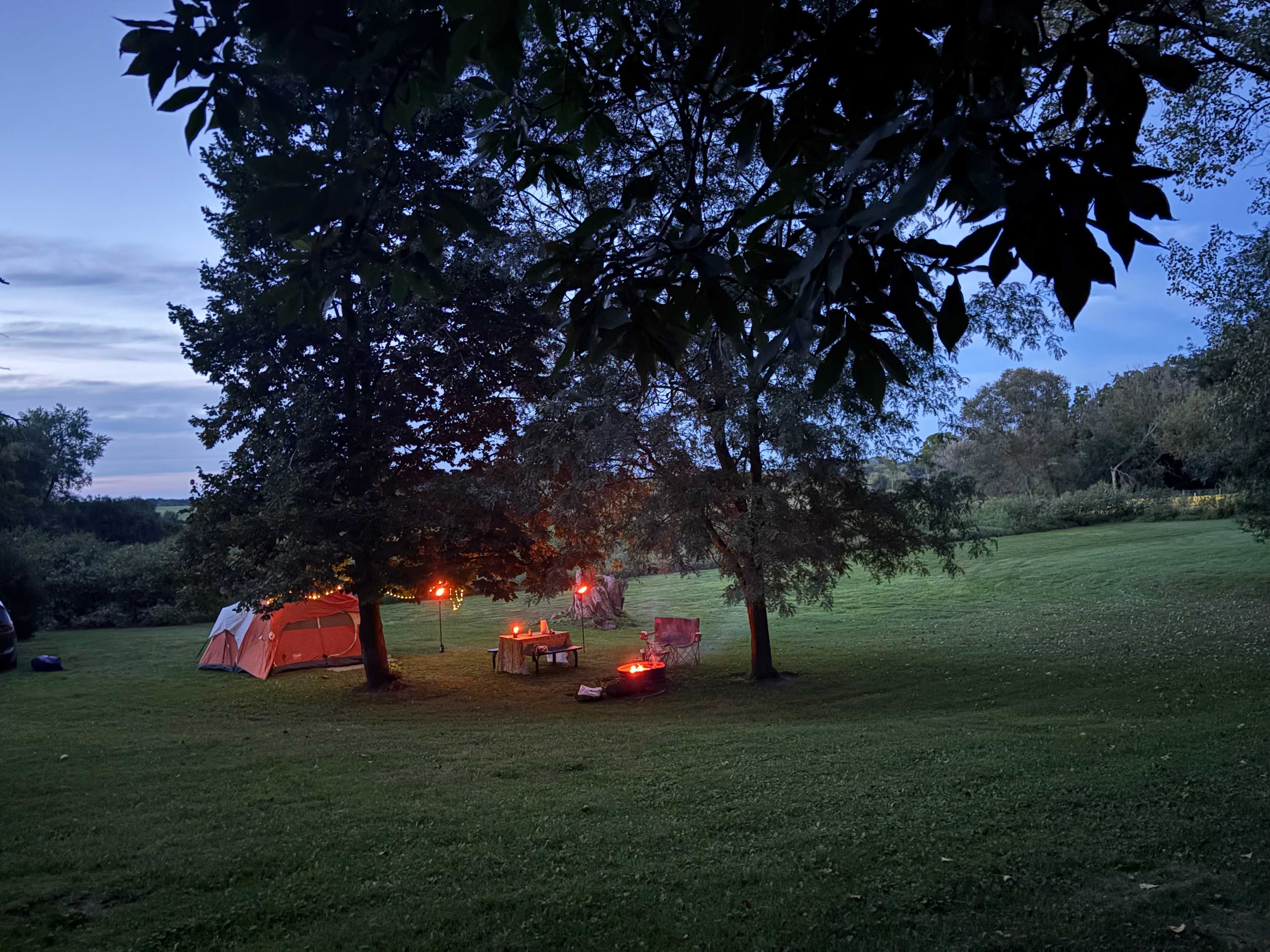 Escape to Nature