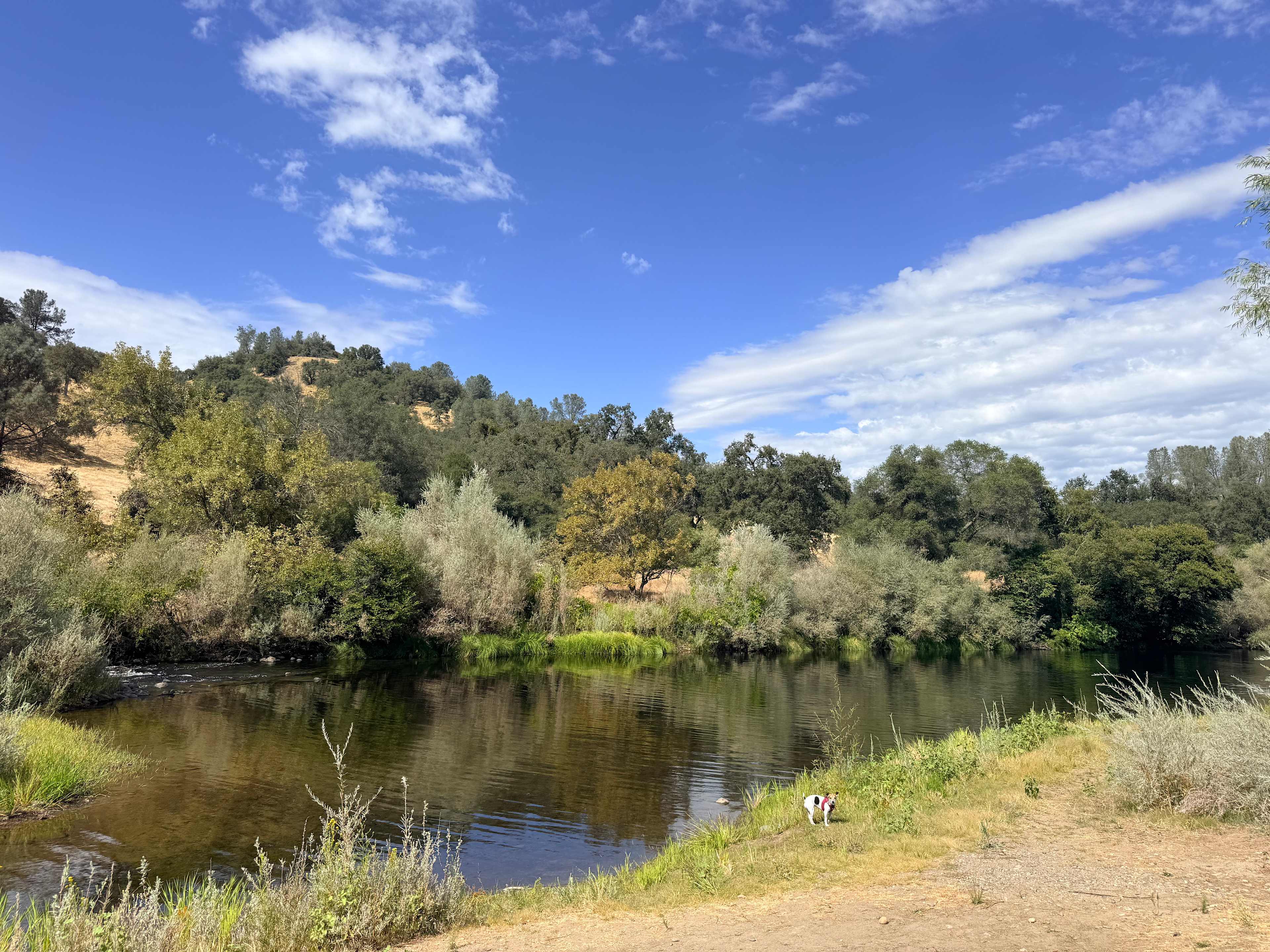 The public swim hole in front of site 2