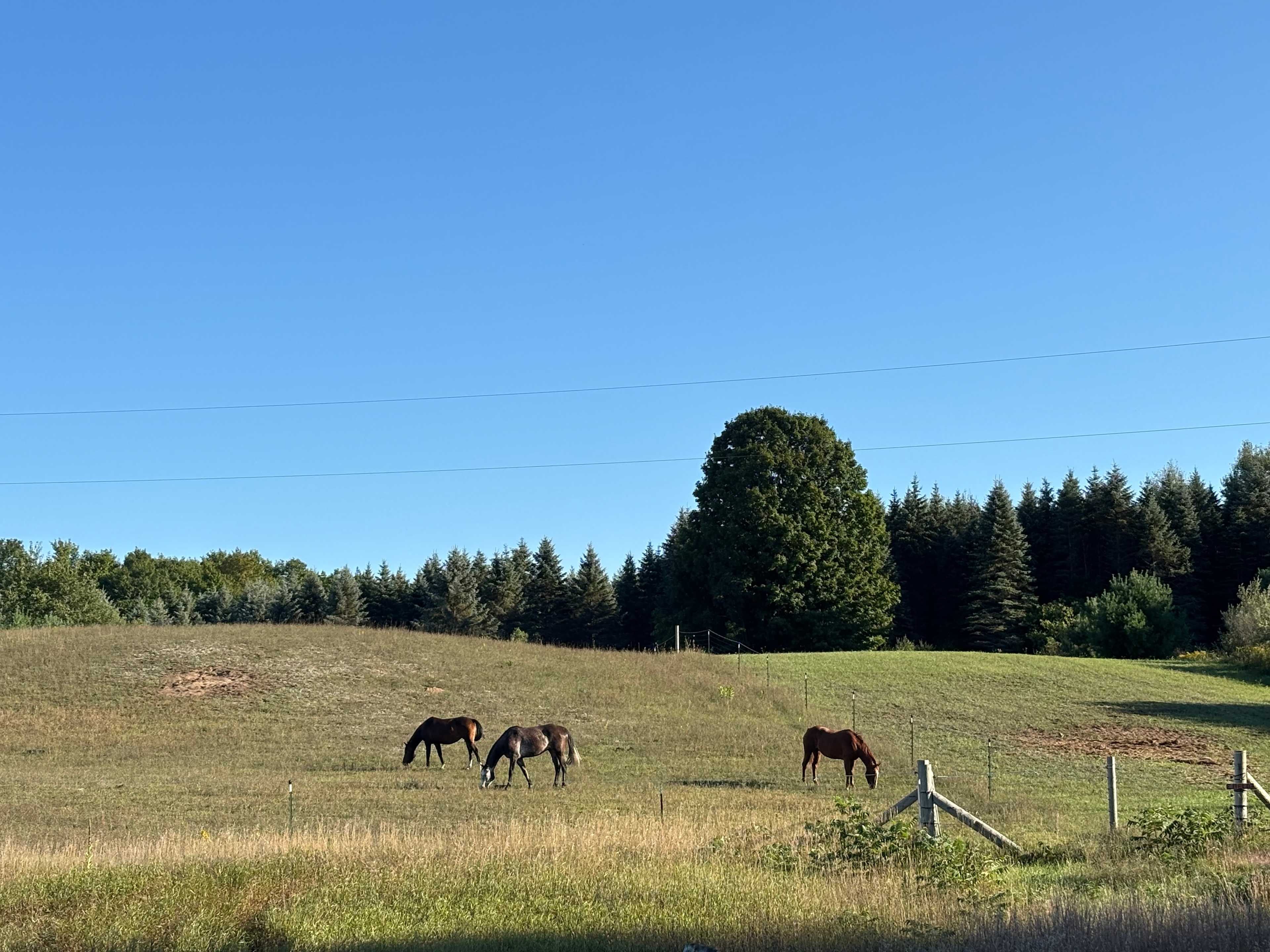 The SOL Homestead