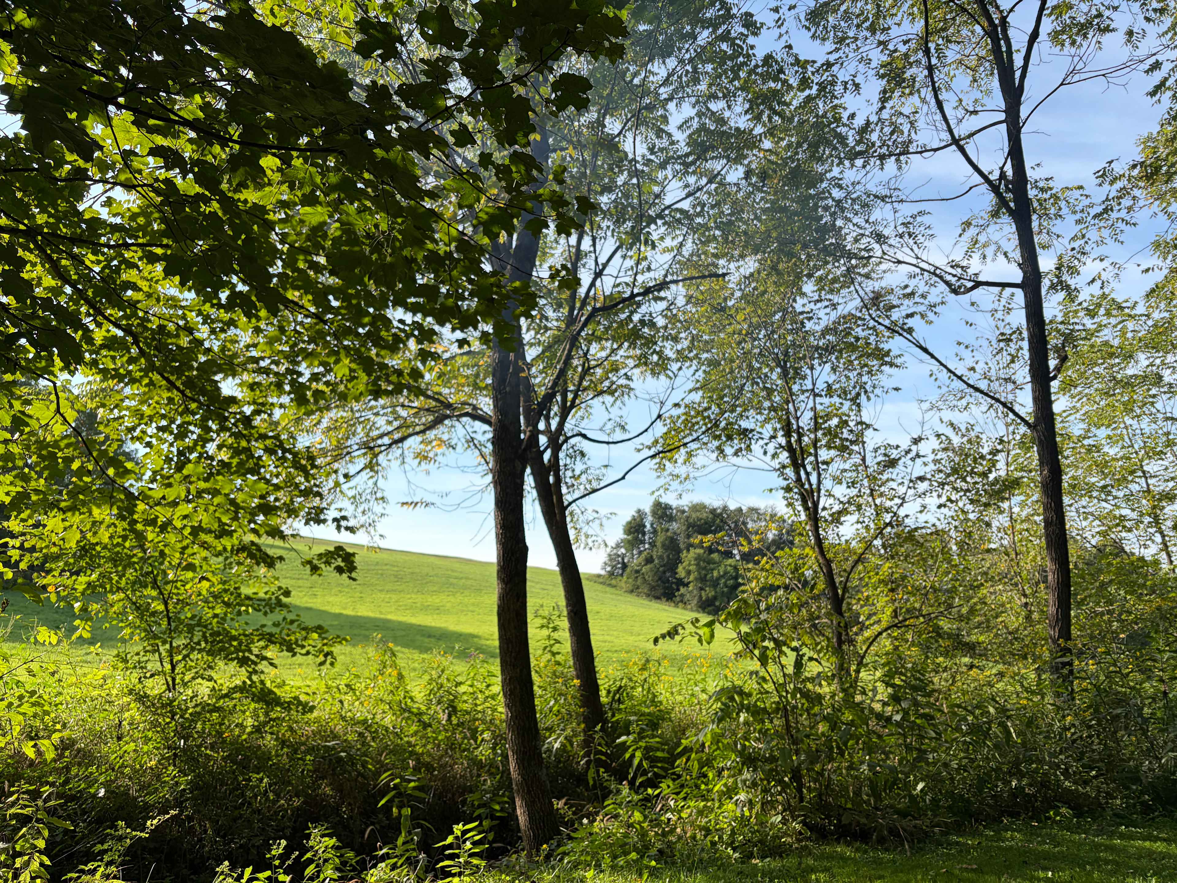 Pleasant Valley Farm Camp