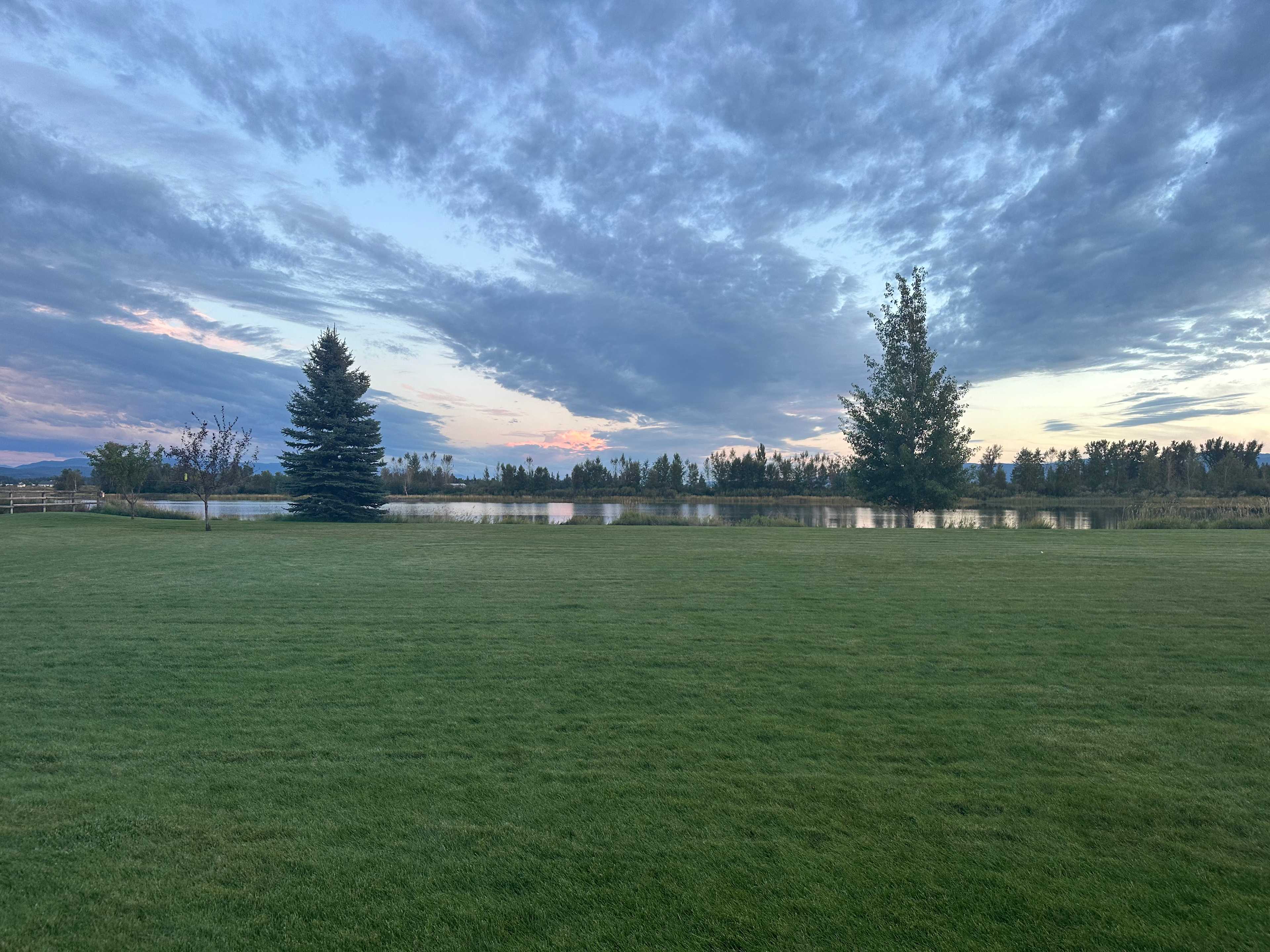 Greenhouse Flathead River Spot