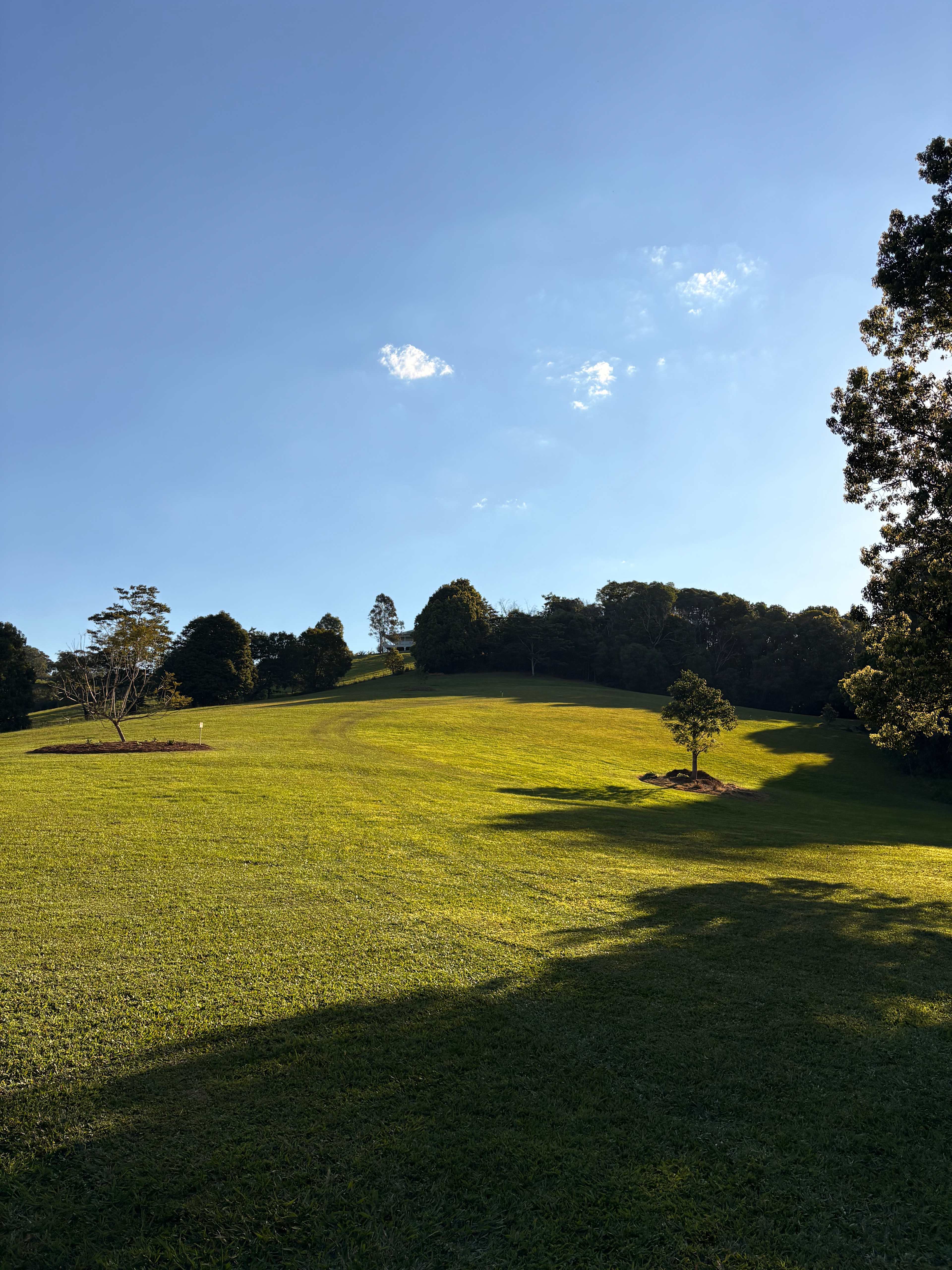 Hills on Lawnville