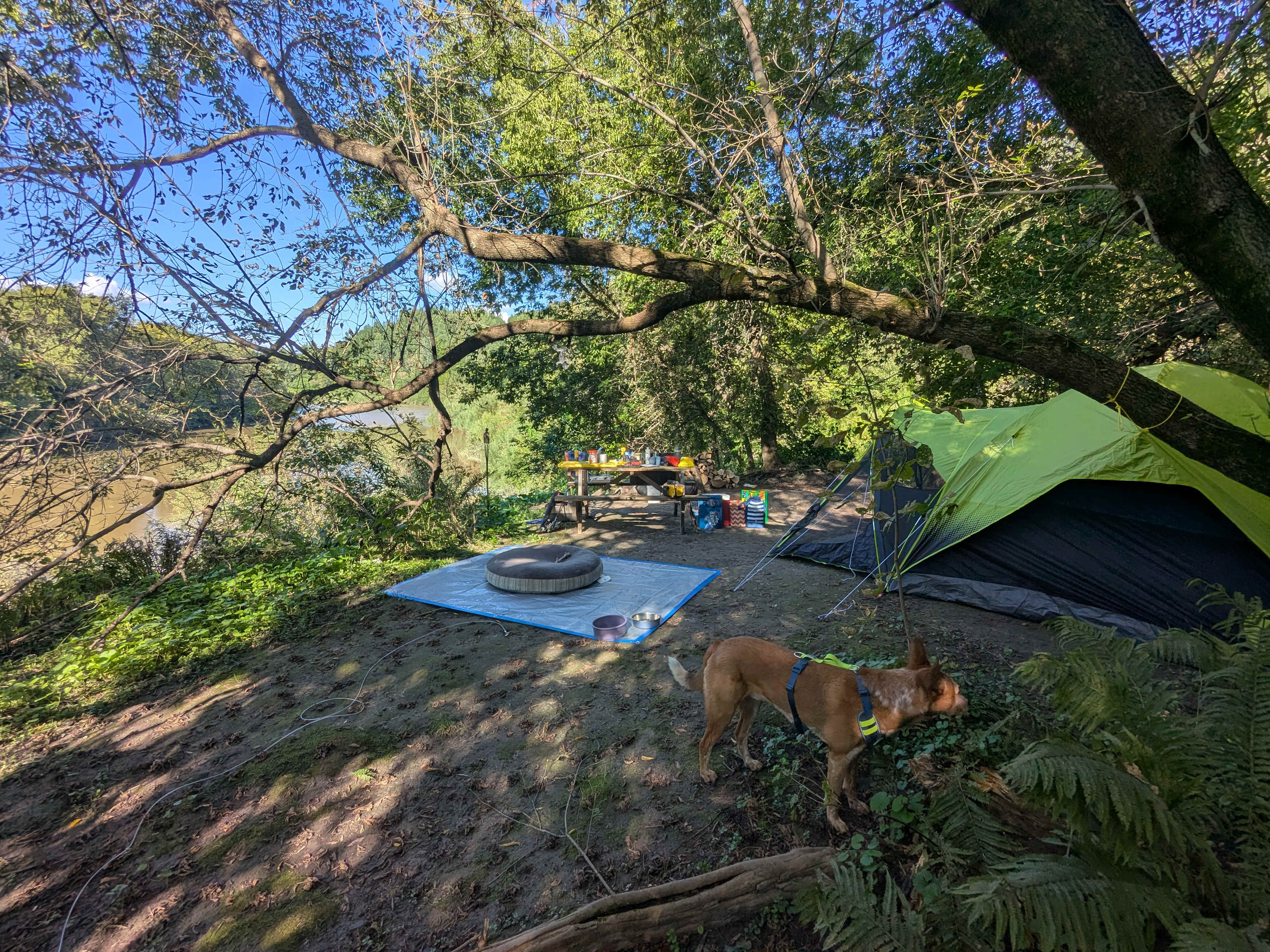La Nation BedROCK 🤘 🏕️🔥🌲