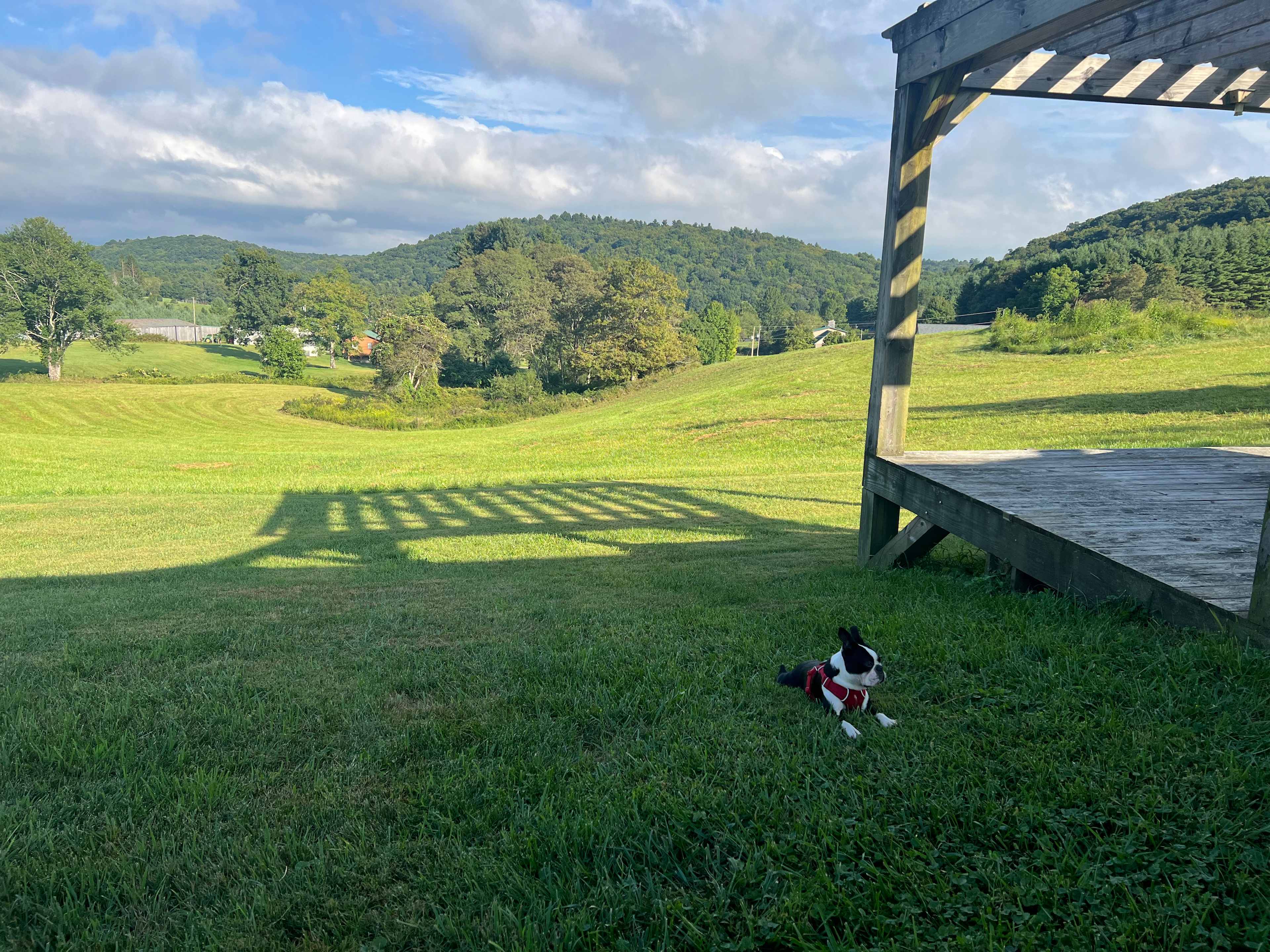 Country Meadows