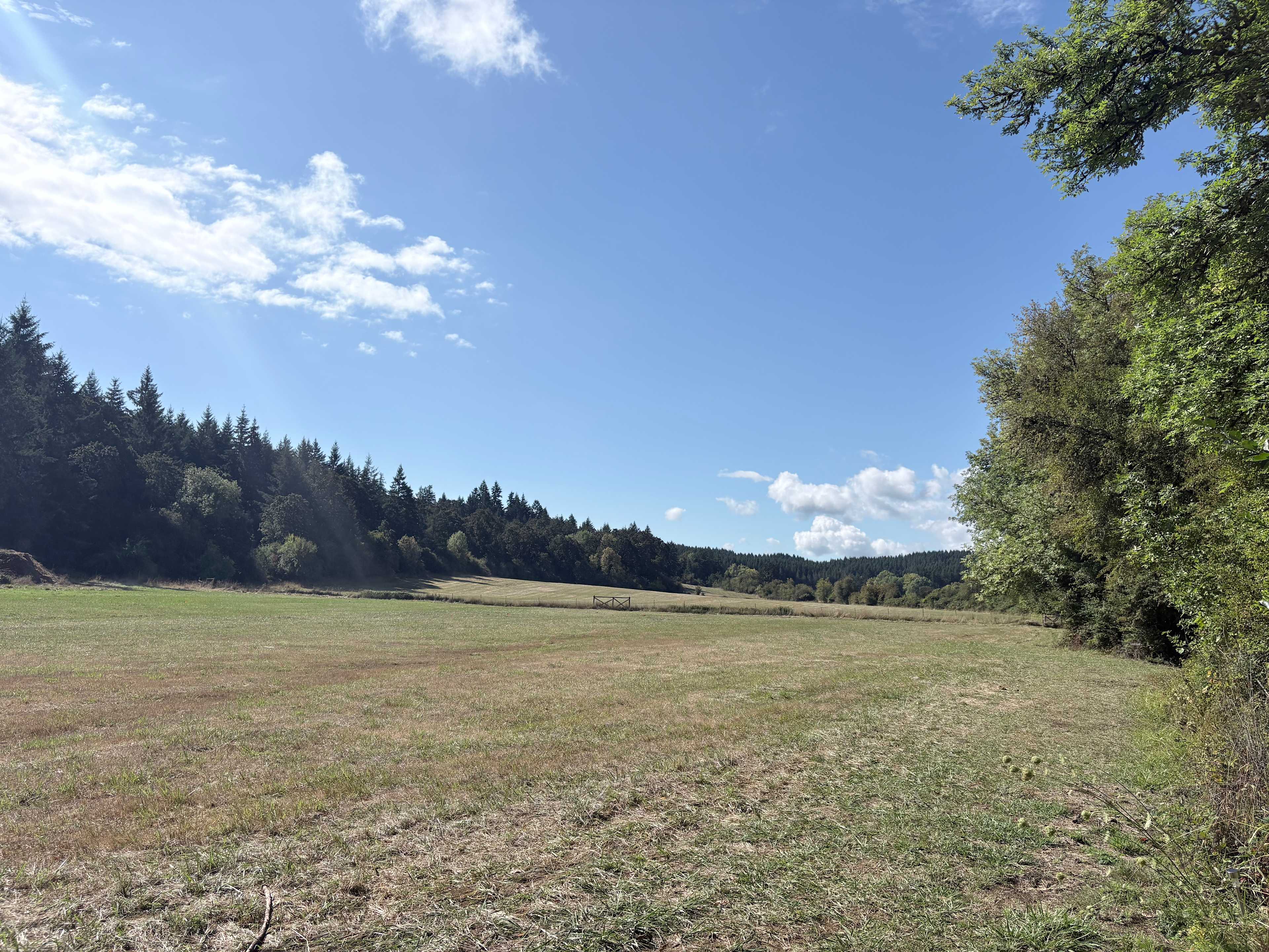 Circle C Farm