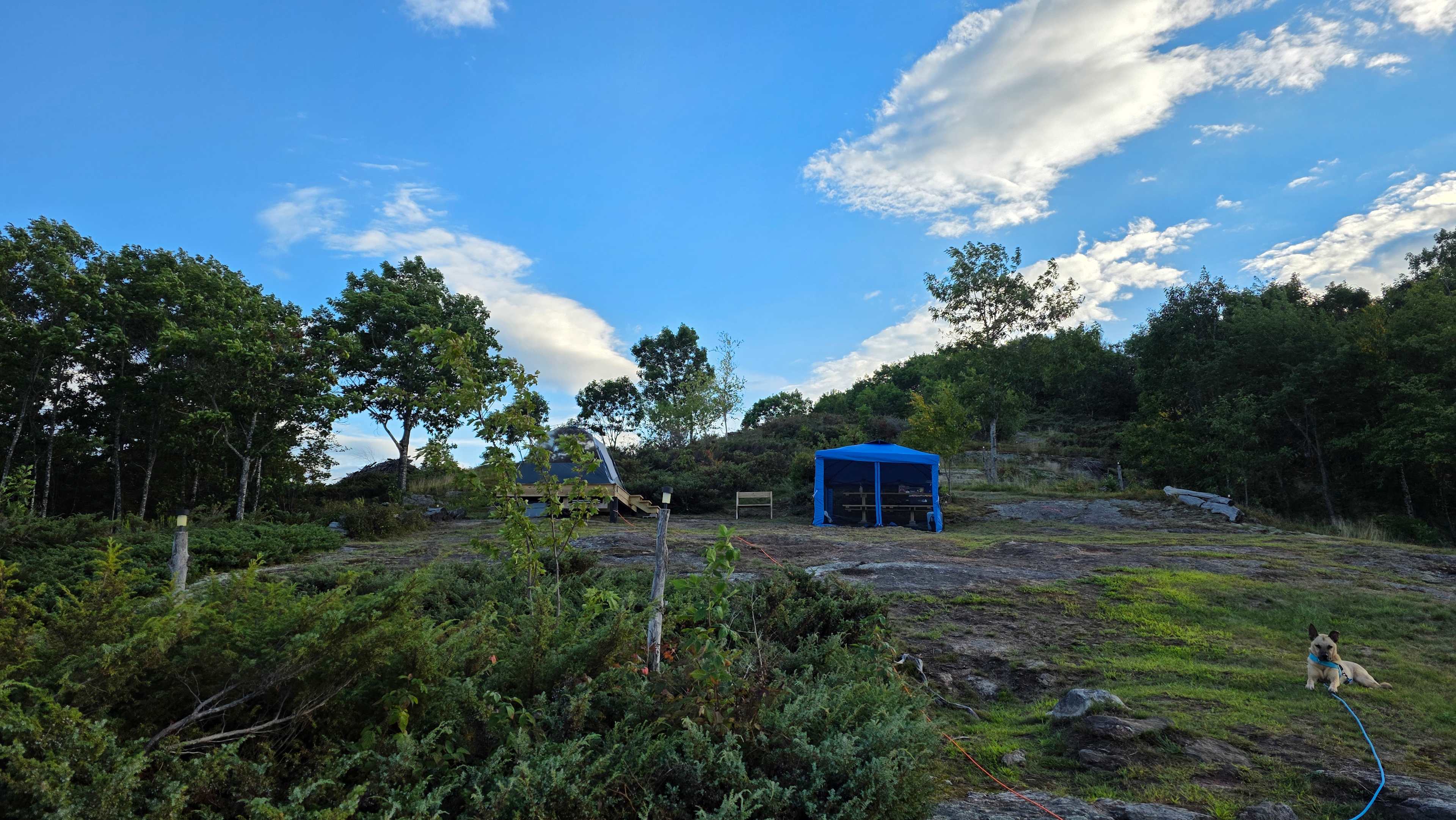 Hussey Mountain Tree Farm