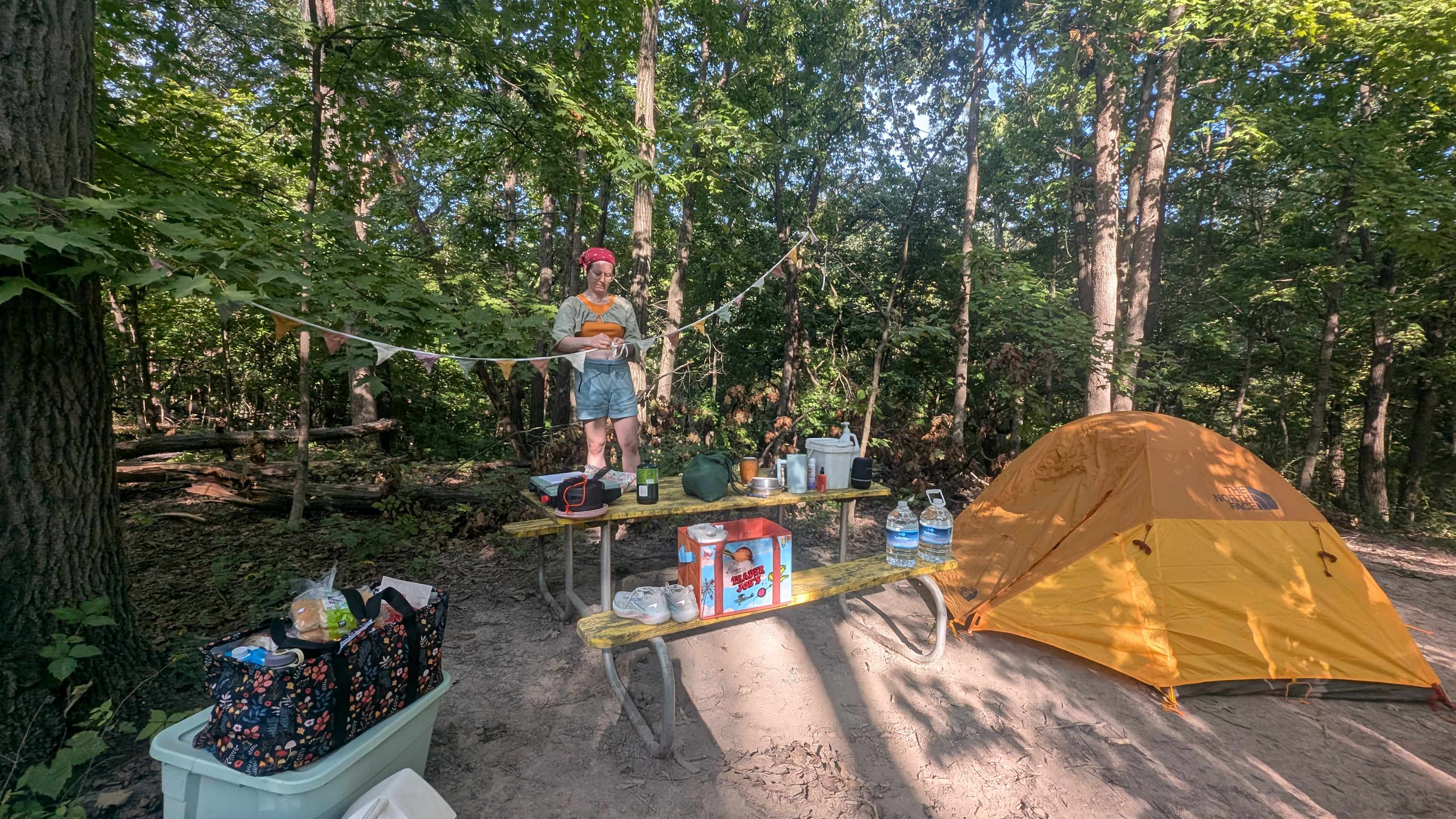 Welcome to our Magical Woods