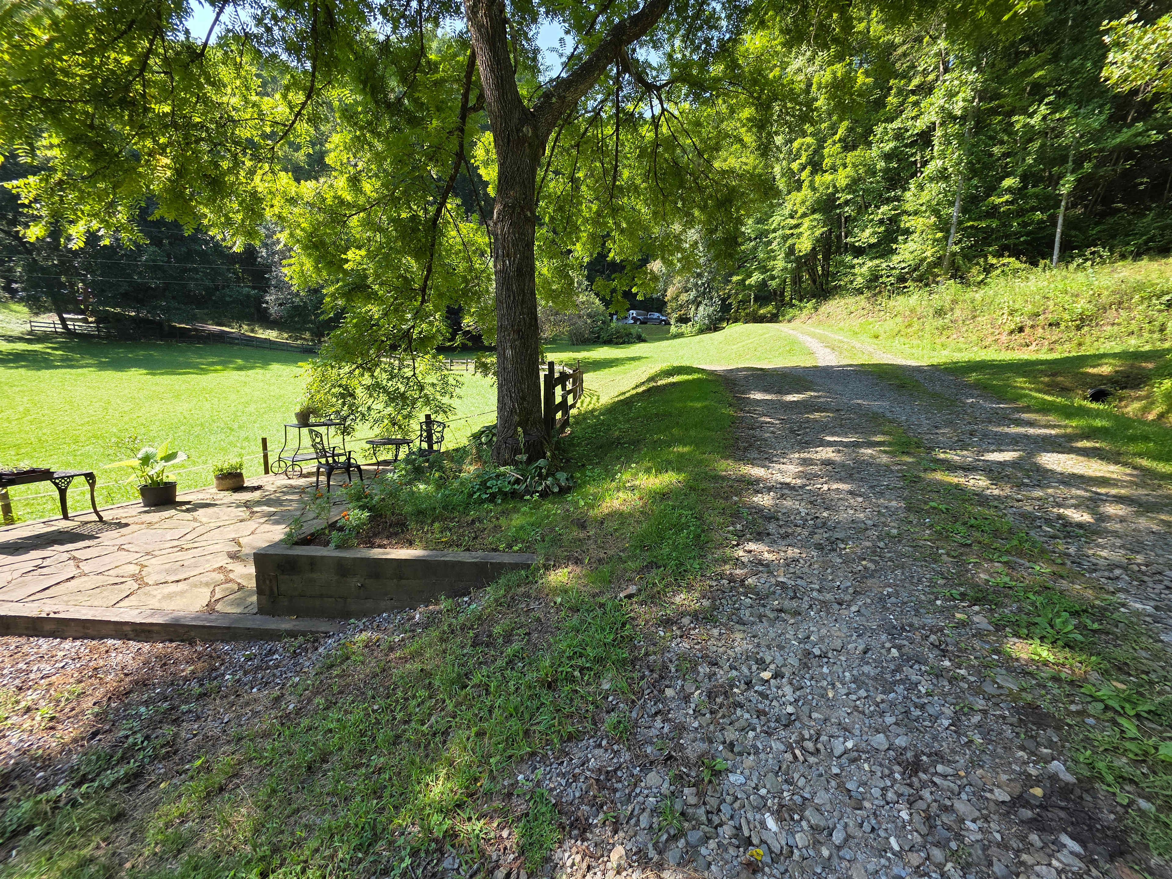 The Cove at Dick Branch
