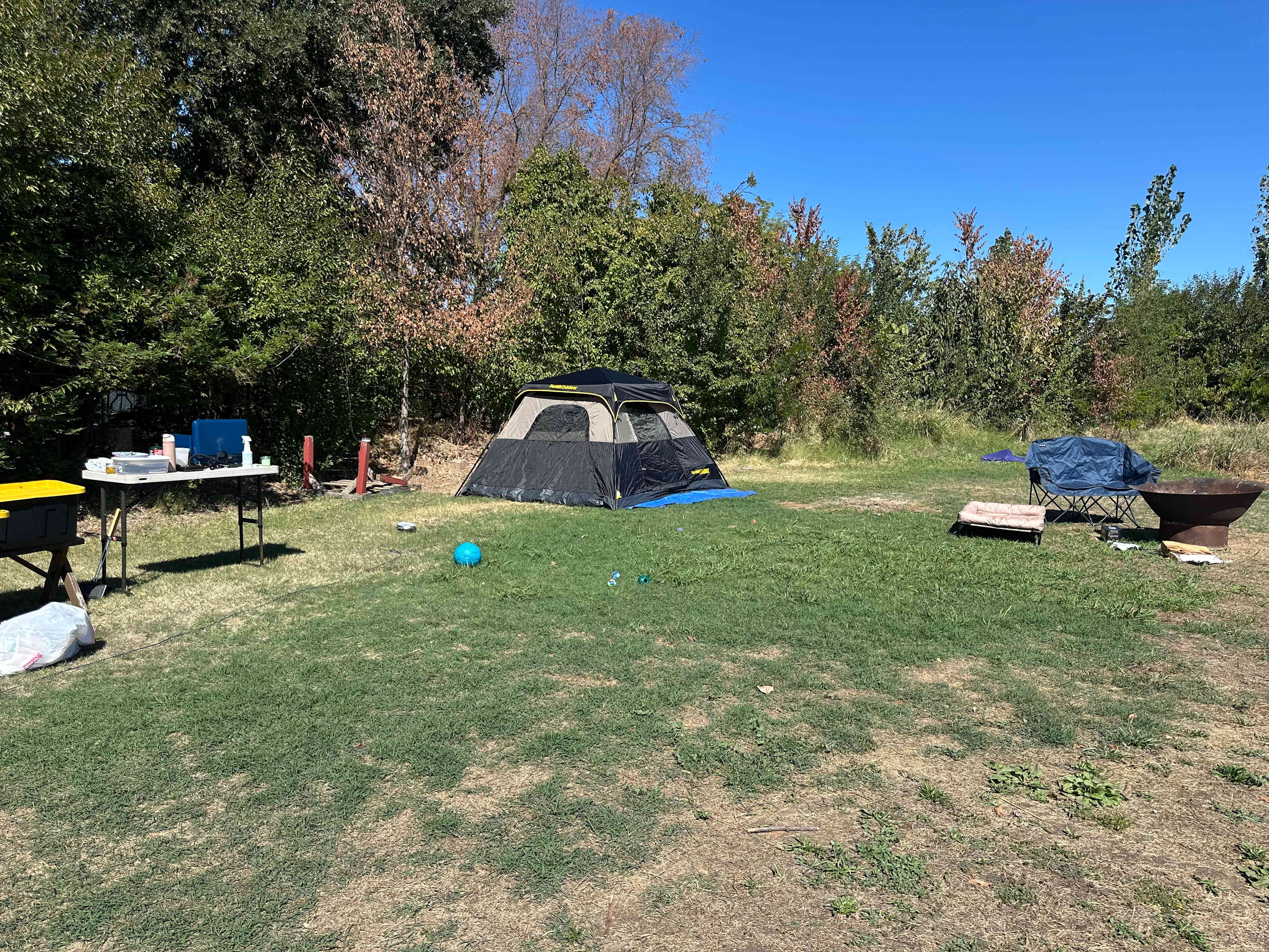 Picture of the site