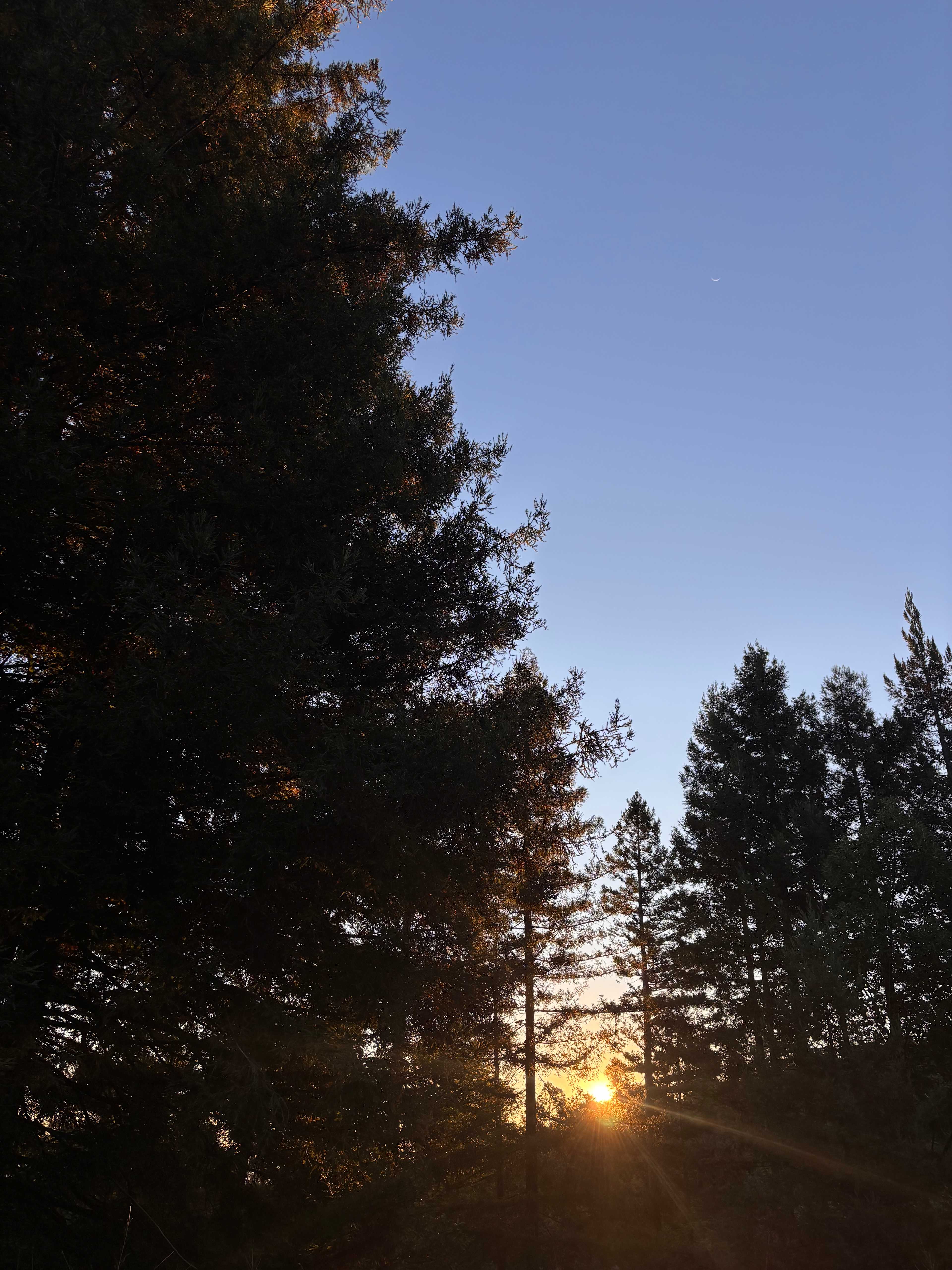 Sunrise at camp skid