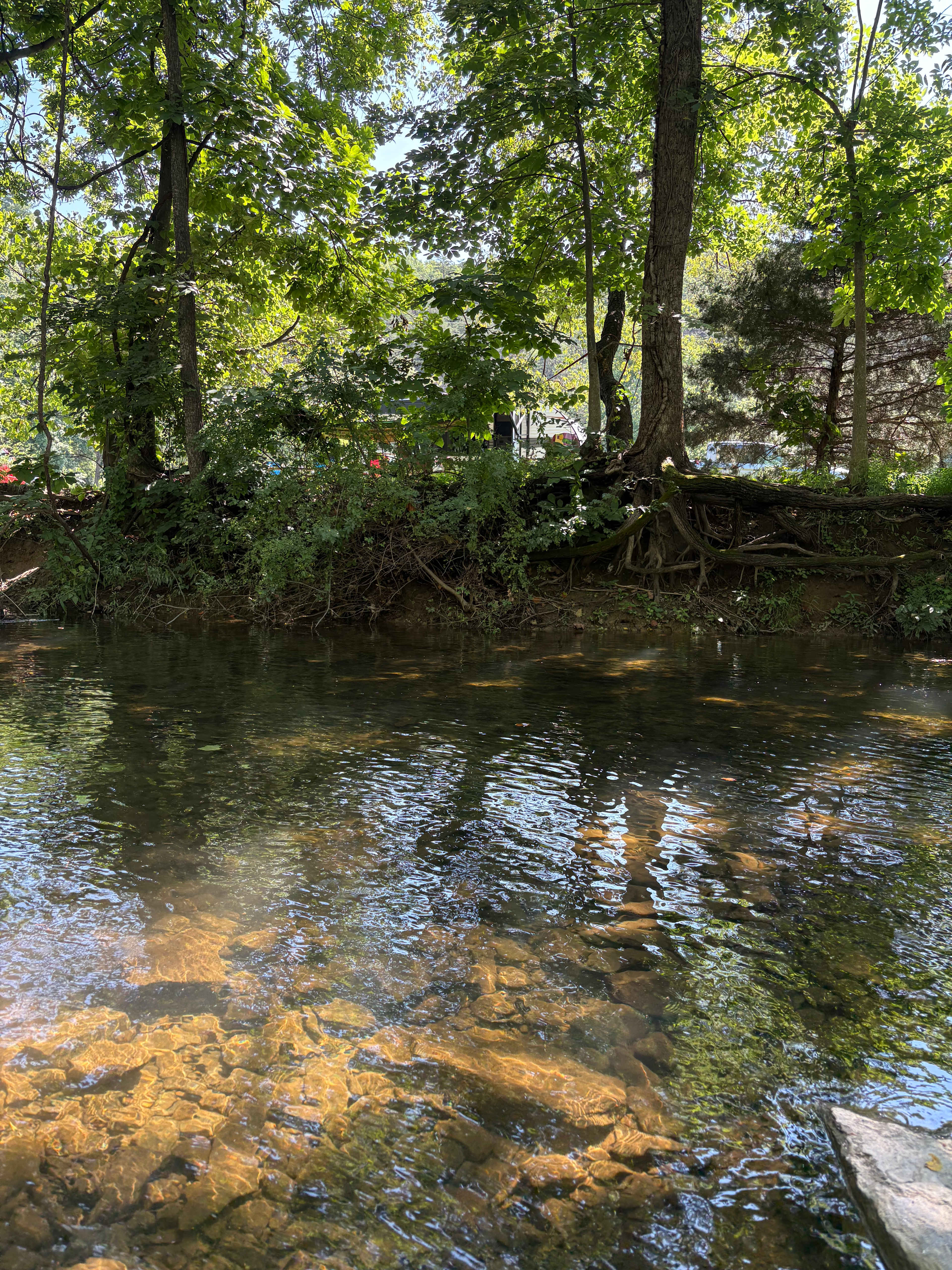 The creek