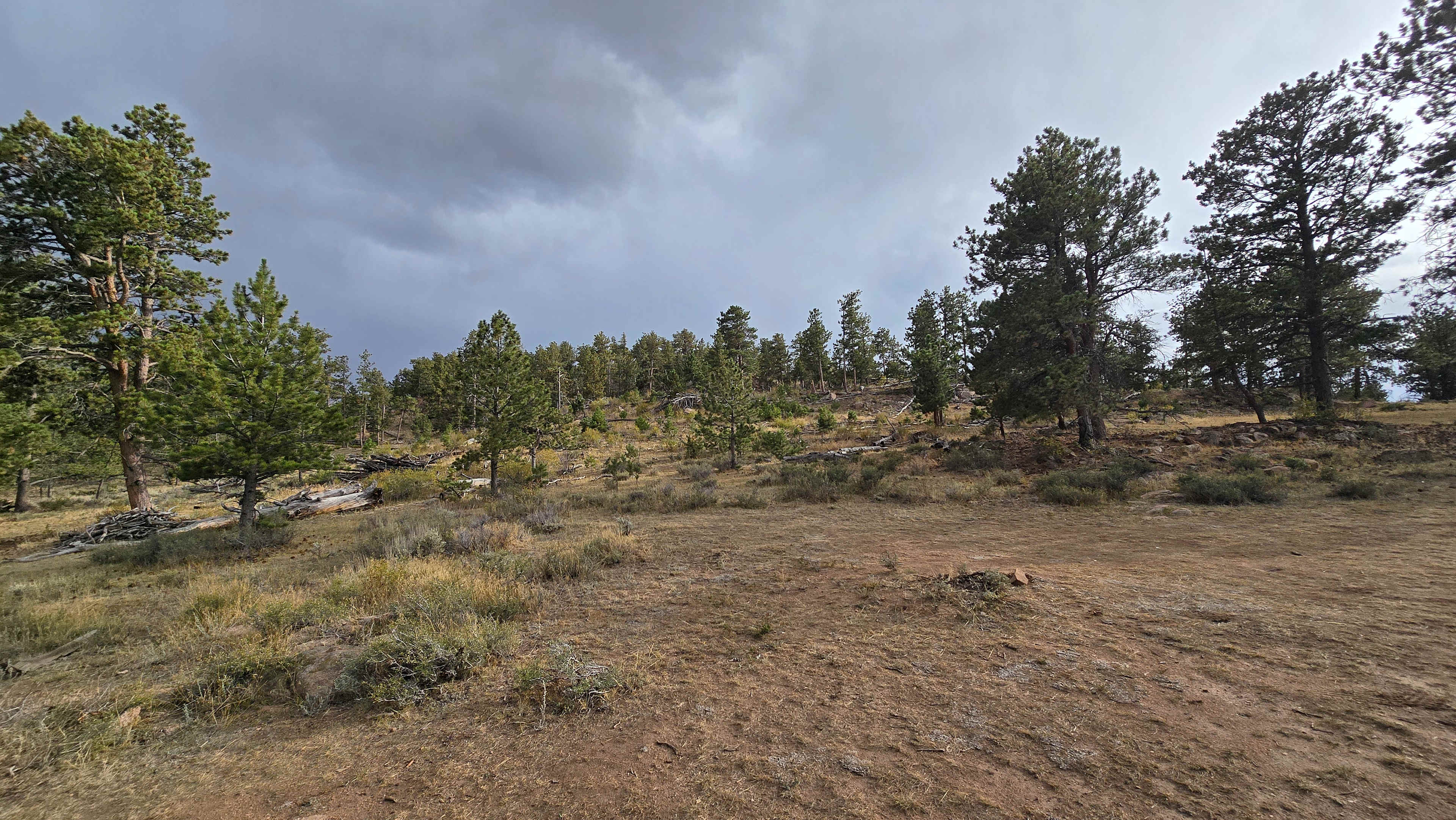 Logan Ranch Campground