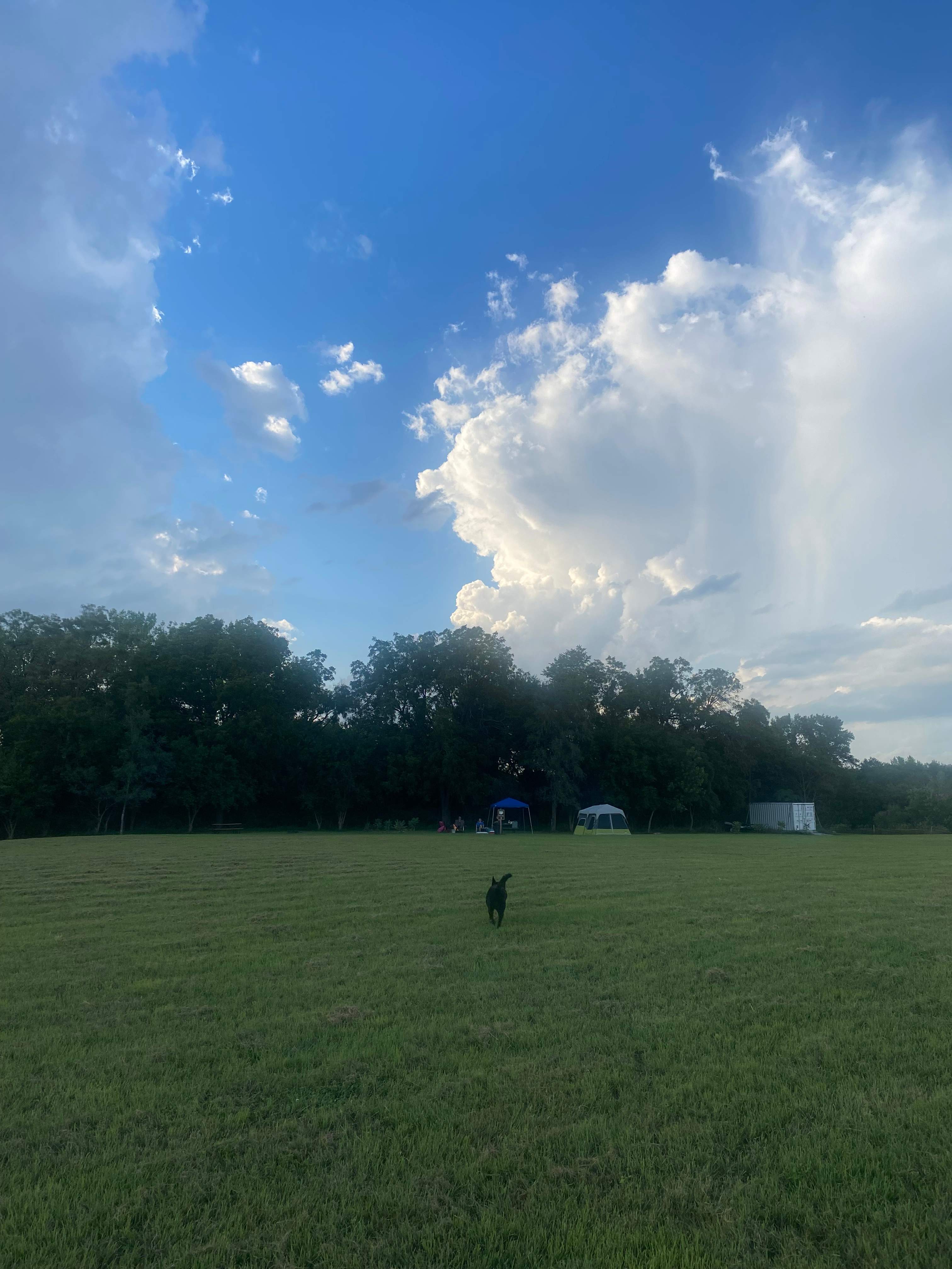 Little Rivers Edge RV Park and Camp