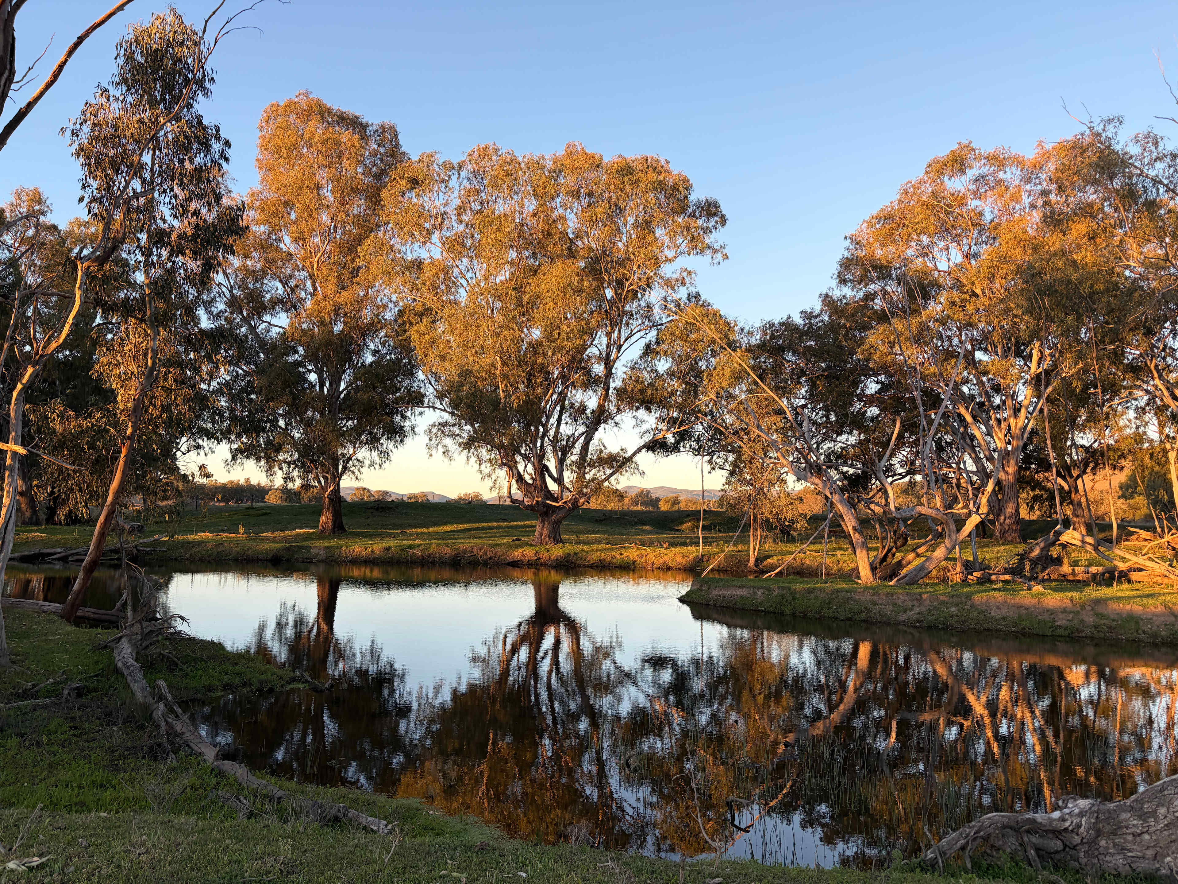 ‘Riversdale’