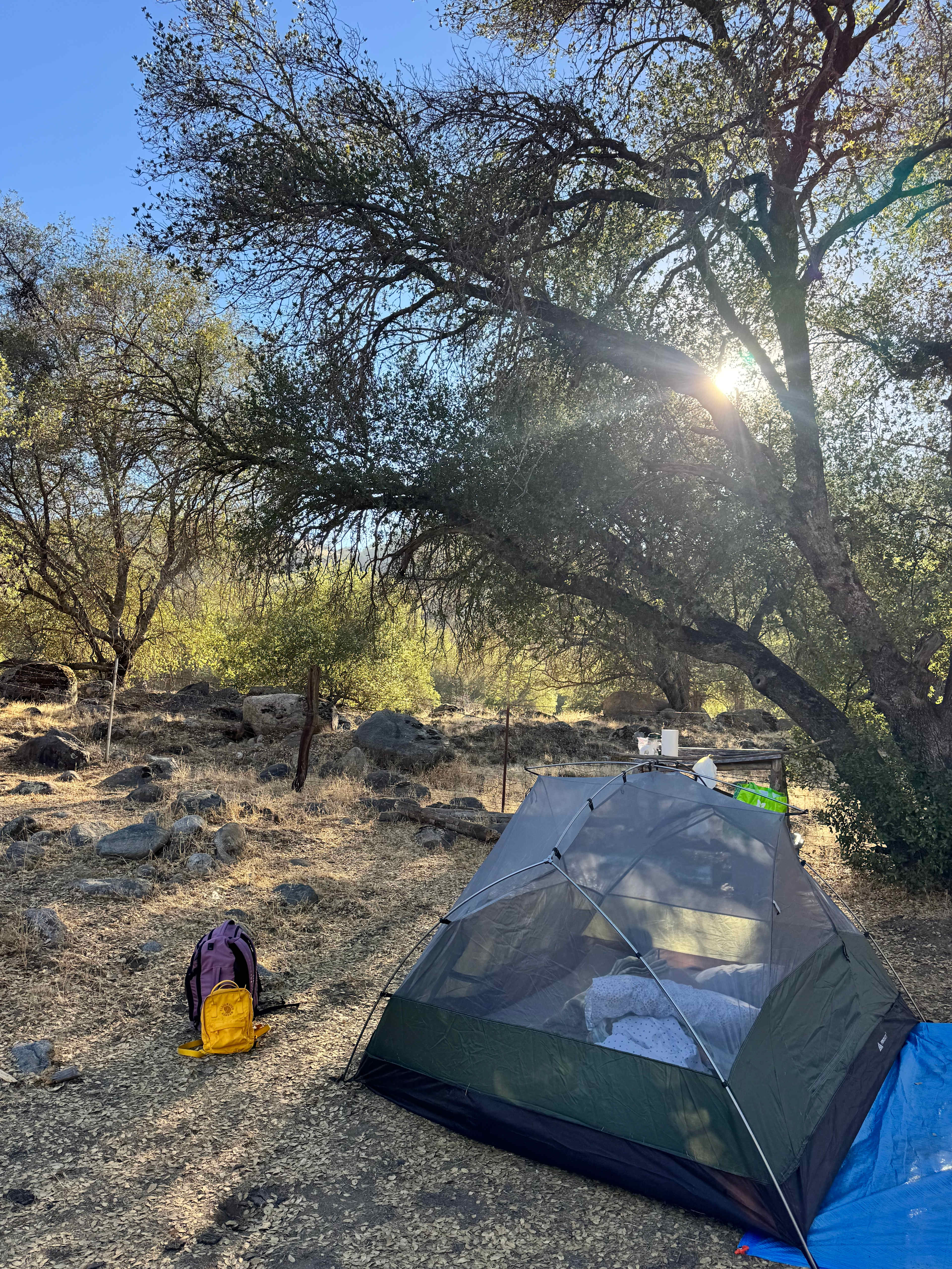 This is Outdoor Living