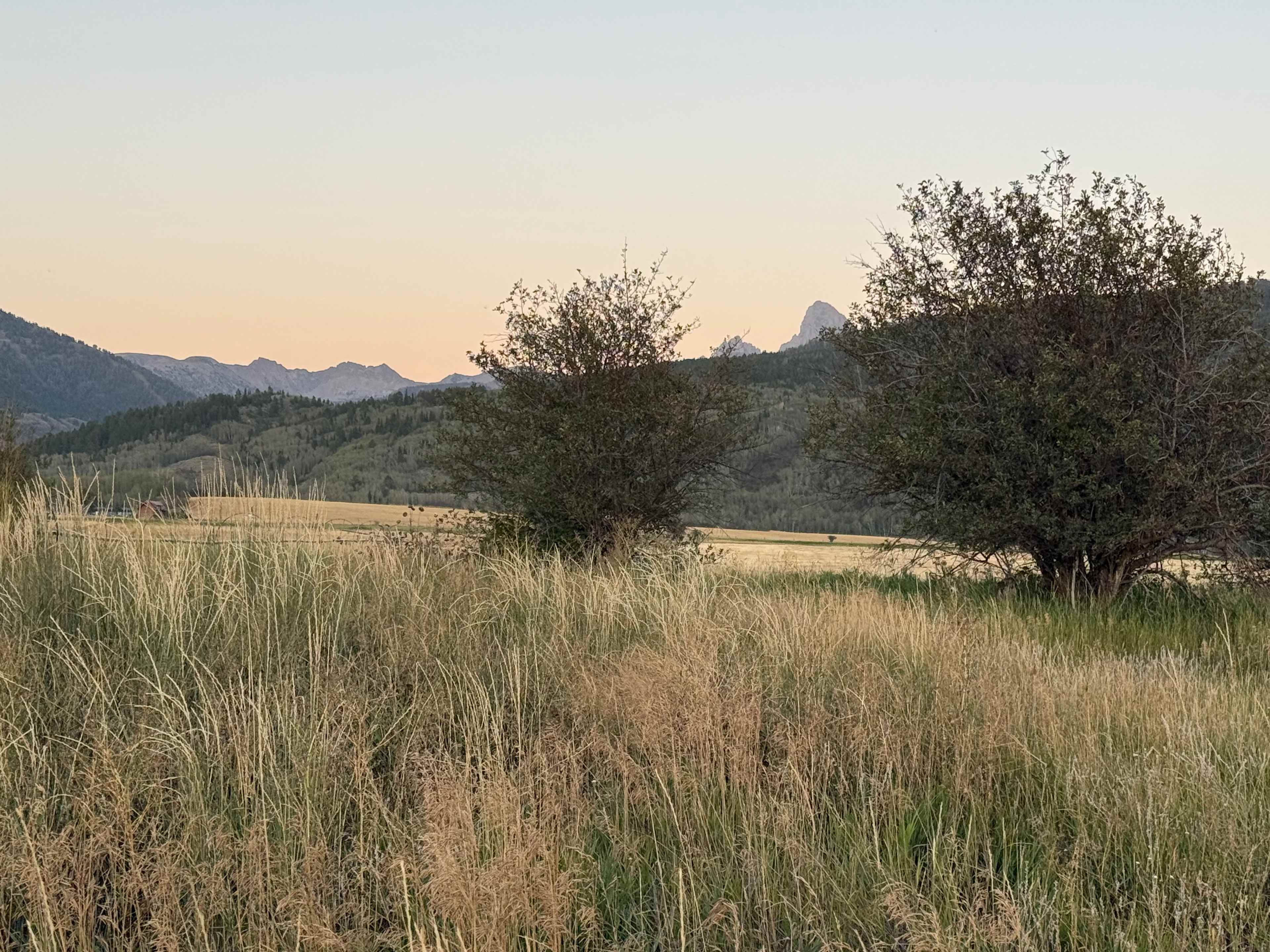 Photo on hike from camping site