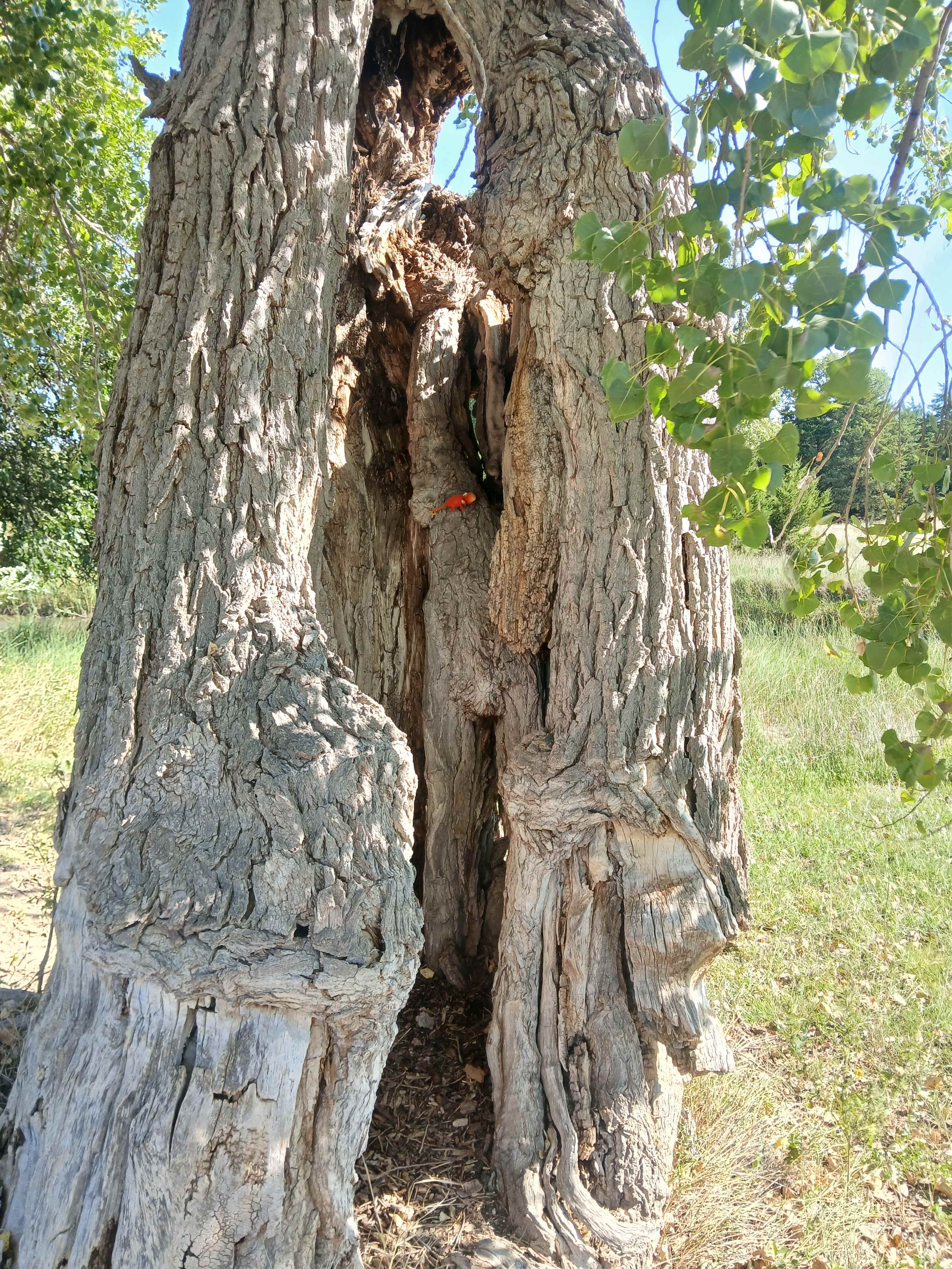 C2T Ranch on the Saline River