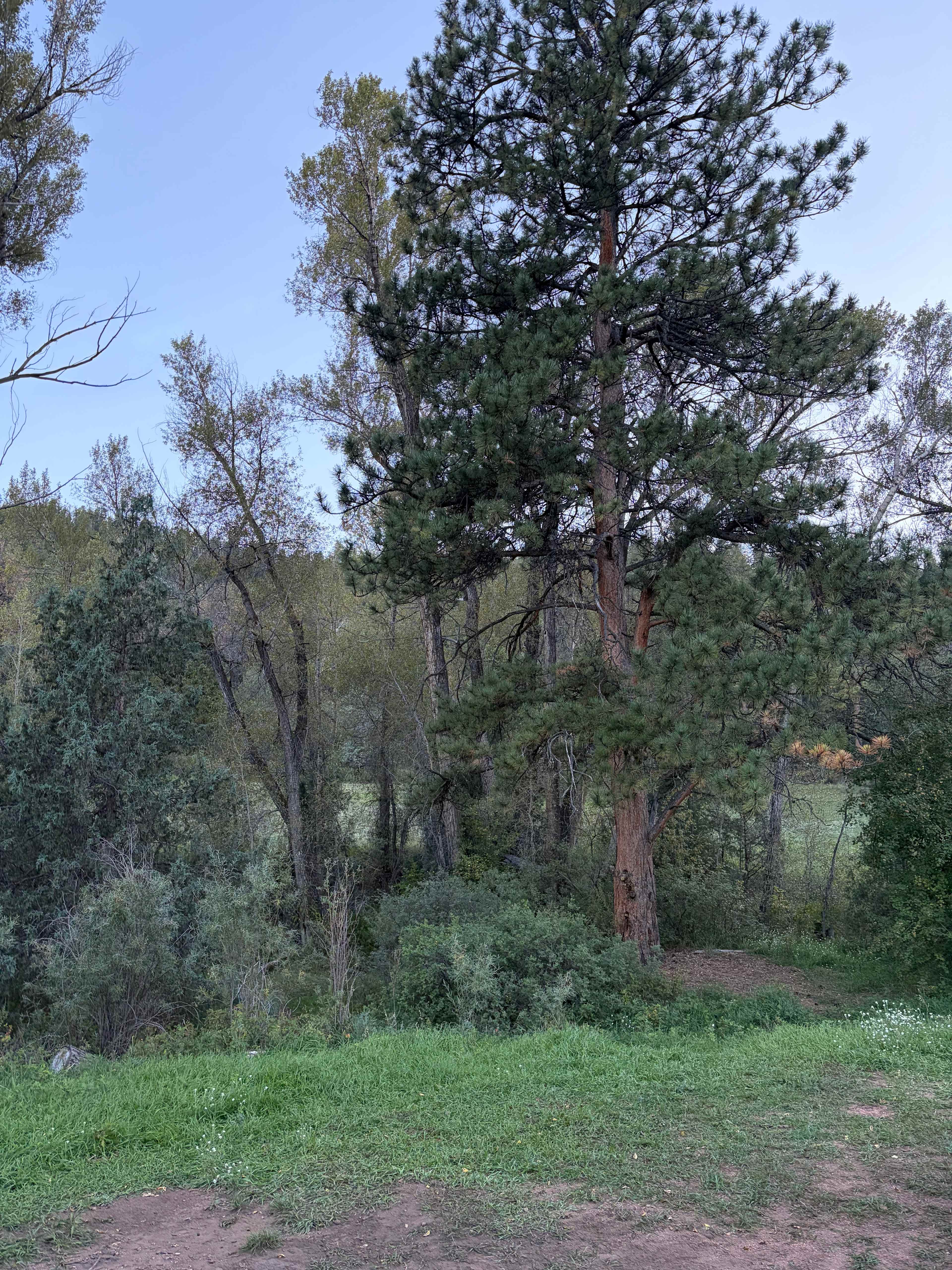 Resort Valley Ranch East
