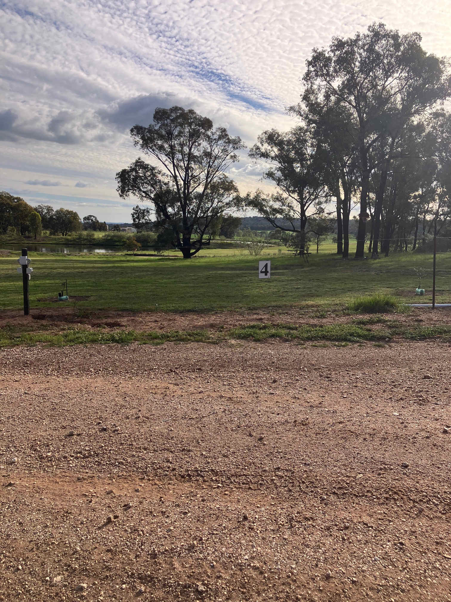 Picture of the site