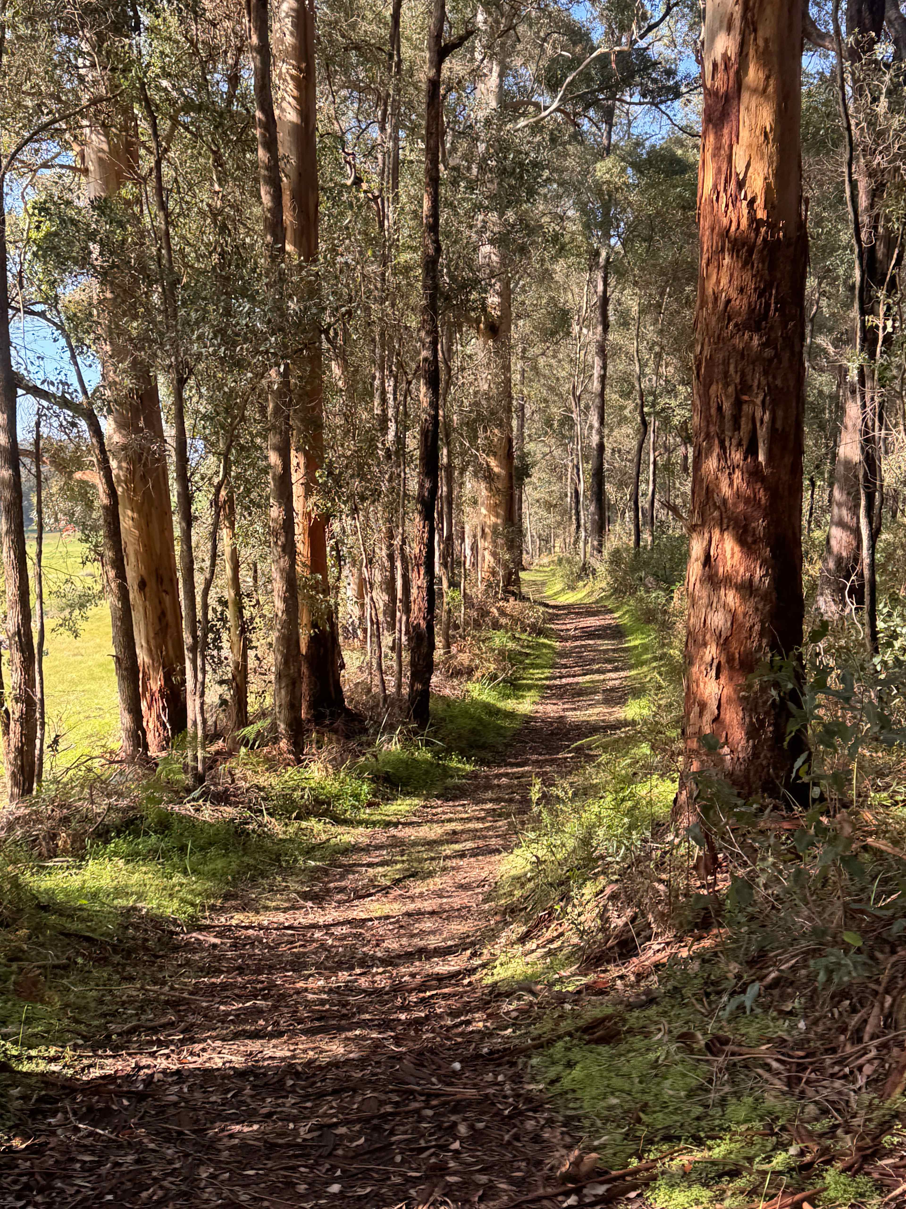 Highway Hideaway - Manjimup