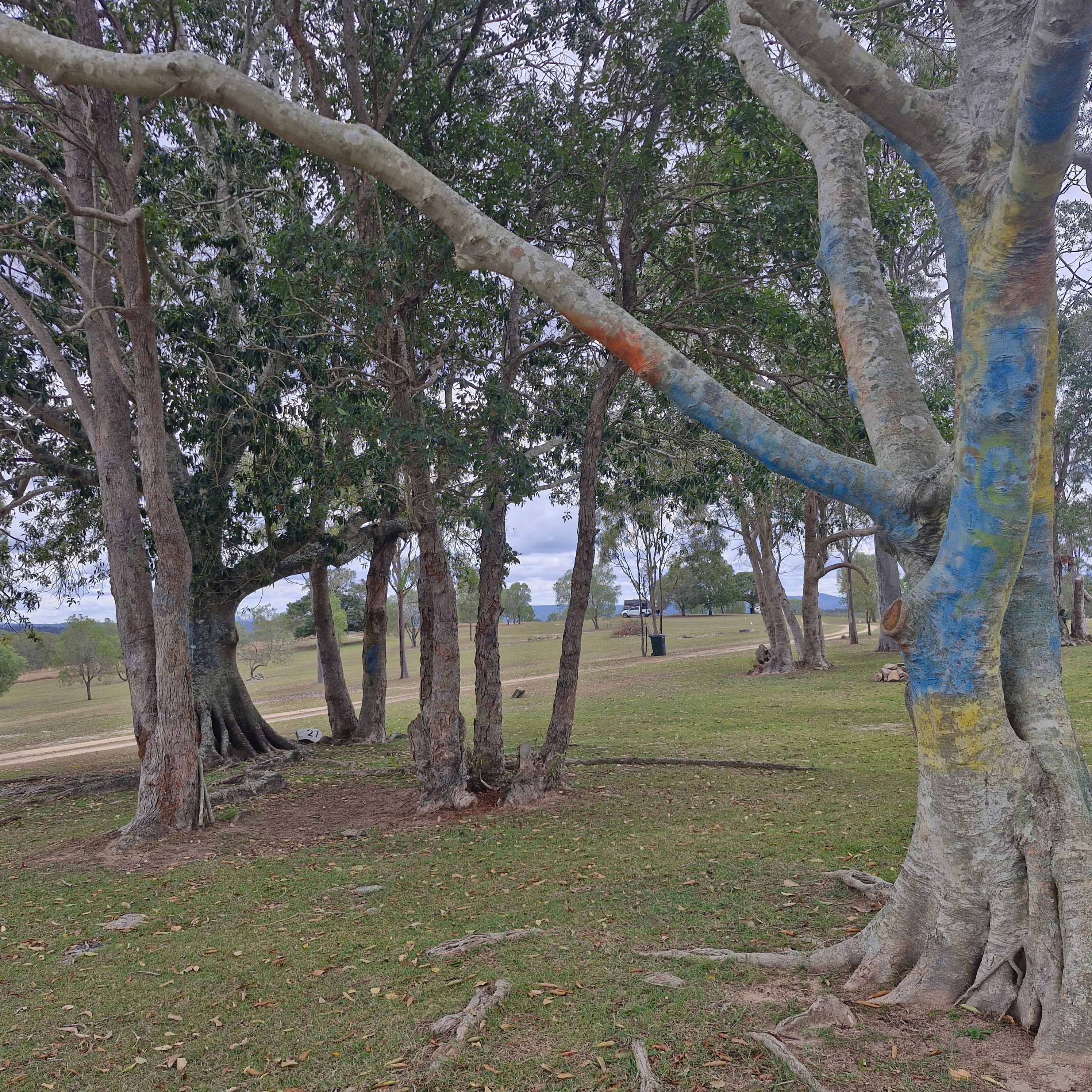 Fig Tree Camp