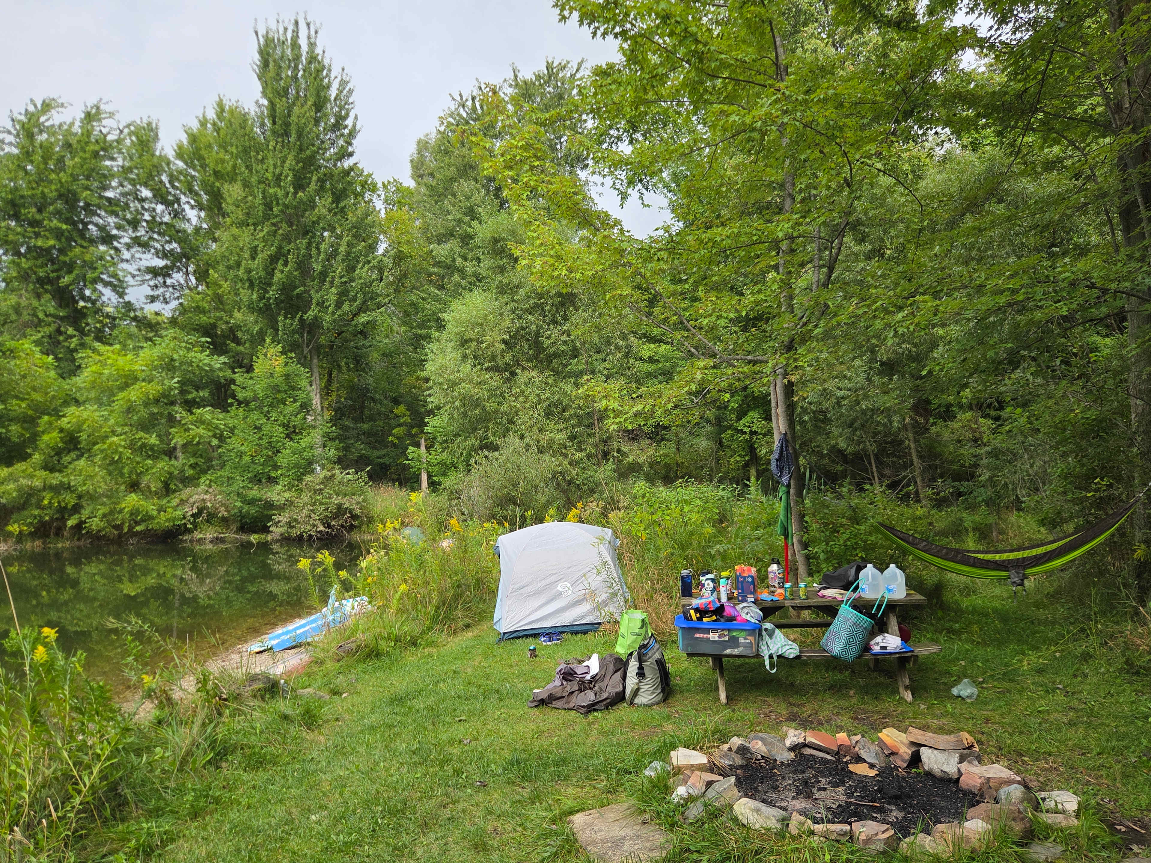Songdog Meadows