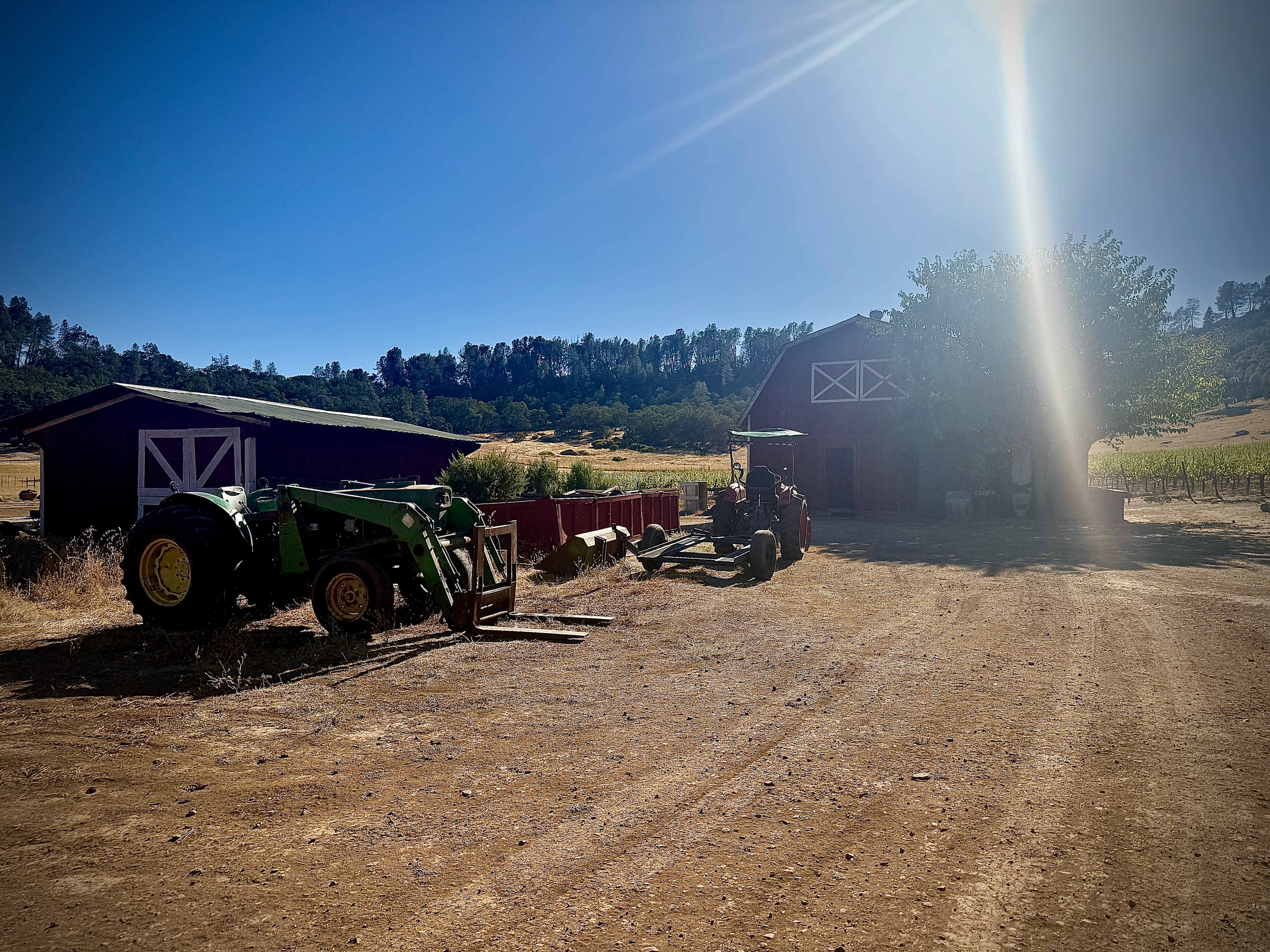 Vineyard Camping at Bad Rat Ranch