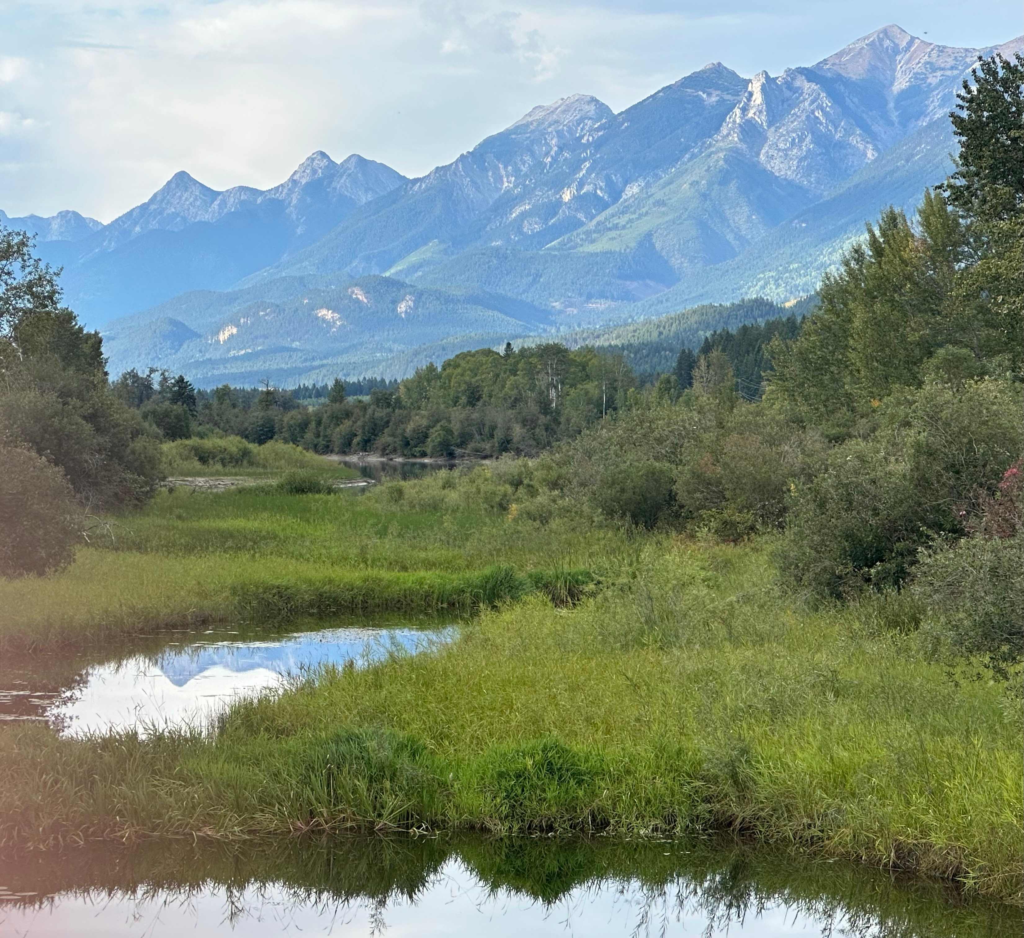 Flyway Farm & Forest