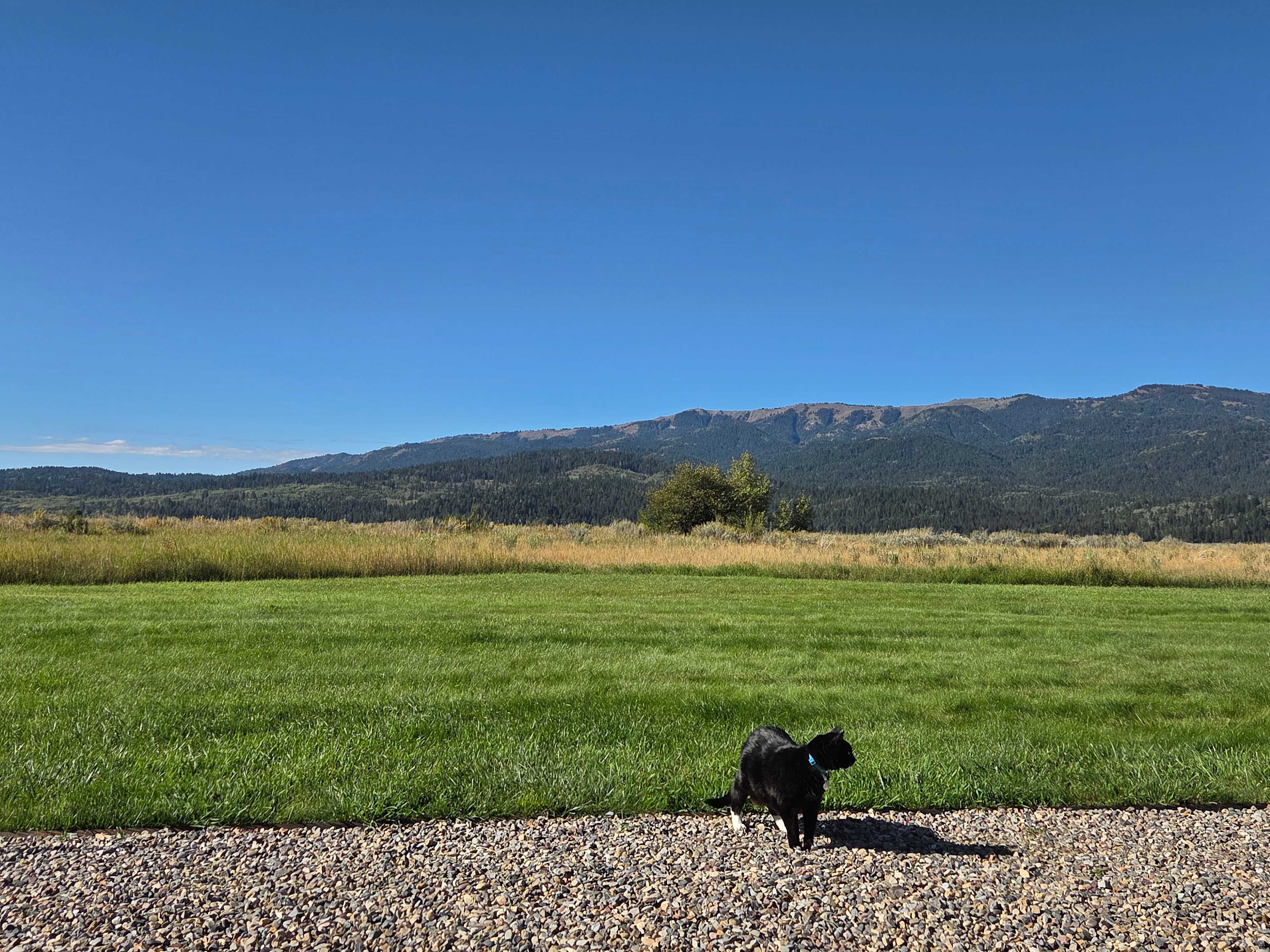 Palisades Reservoir RV Retreat
