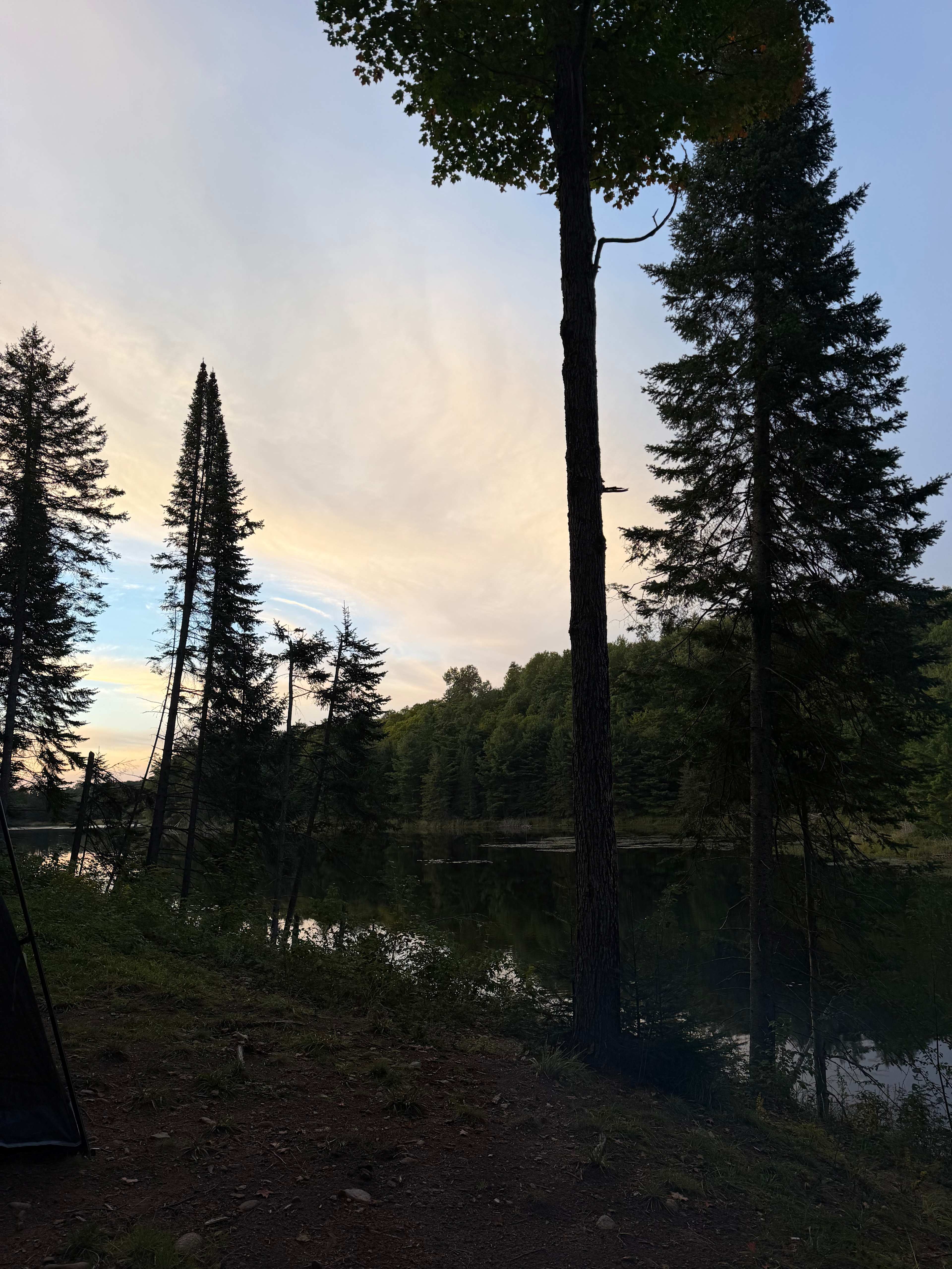 Ball Lake Tent Camping